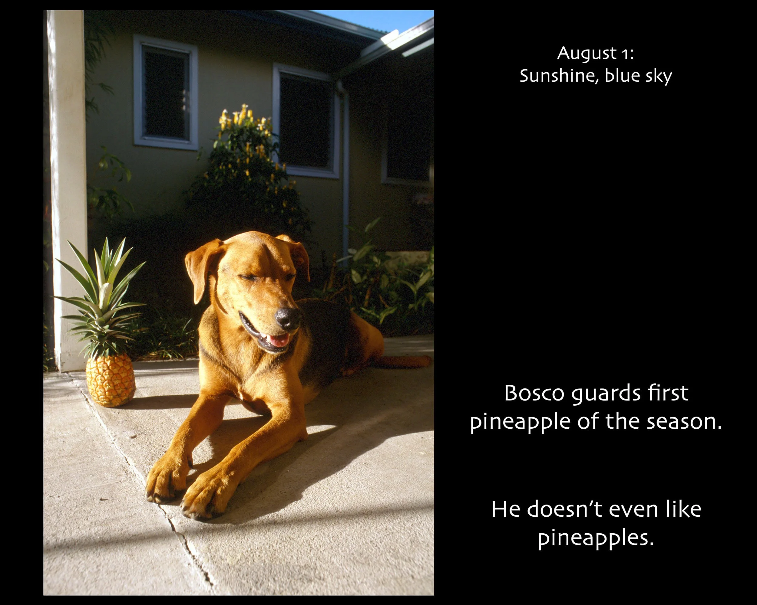 August 01_2500wx2000h_AGD.jpg