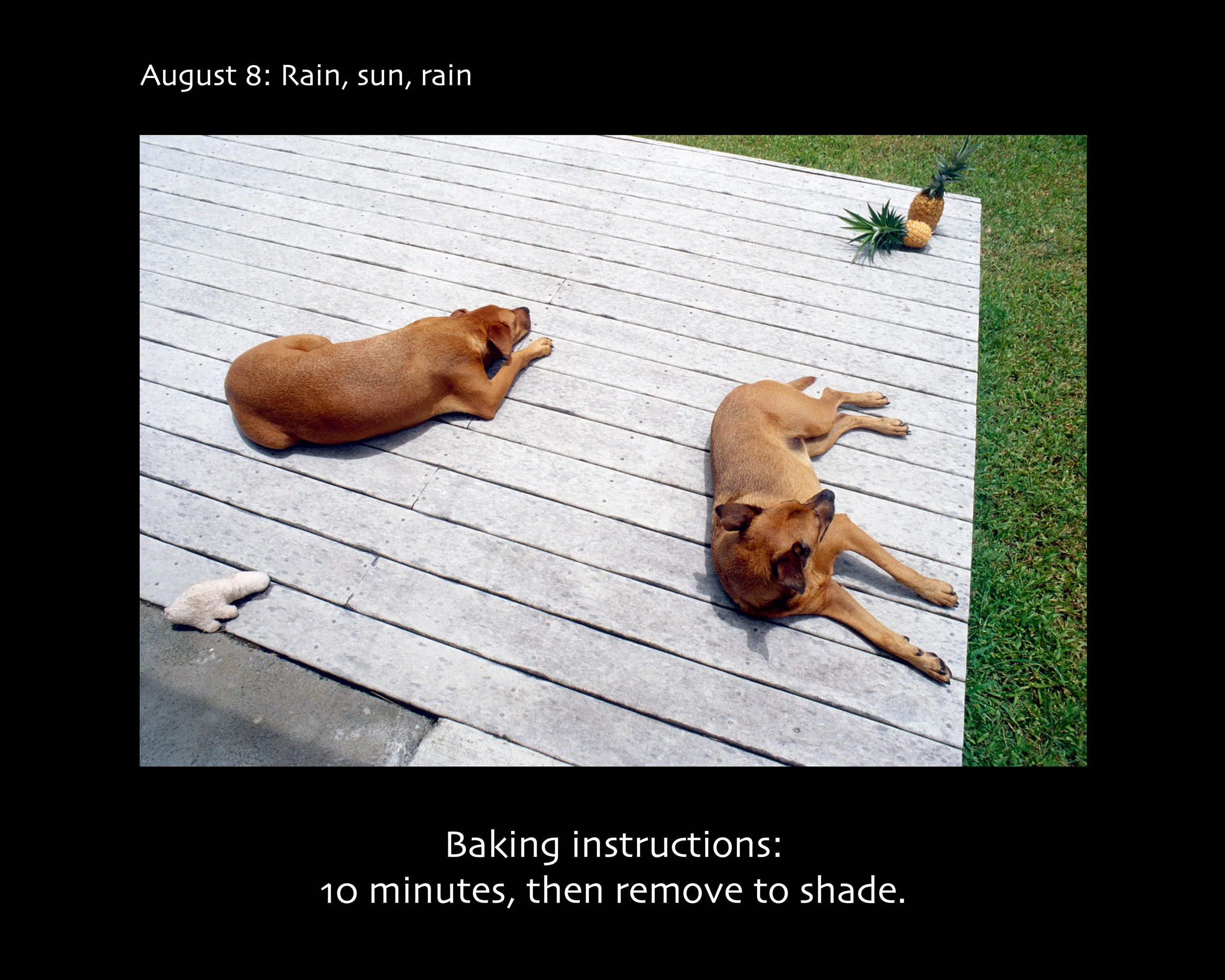 August 08_2500w x 2000h_AGD.jpg