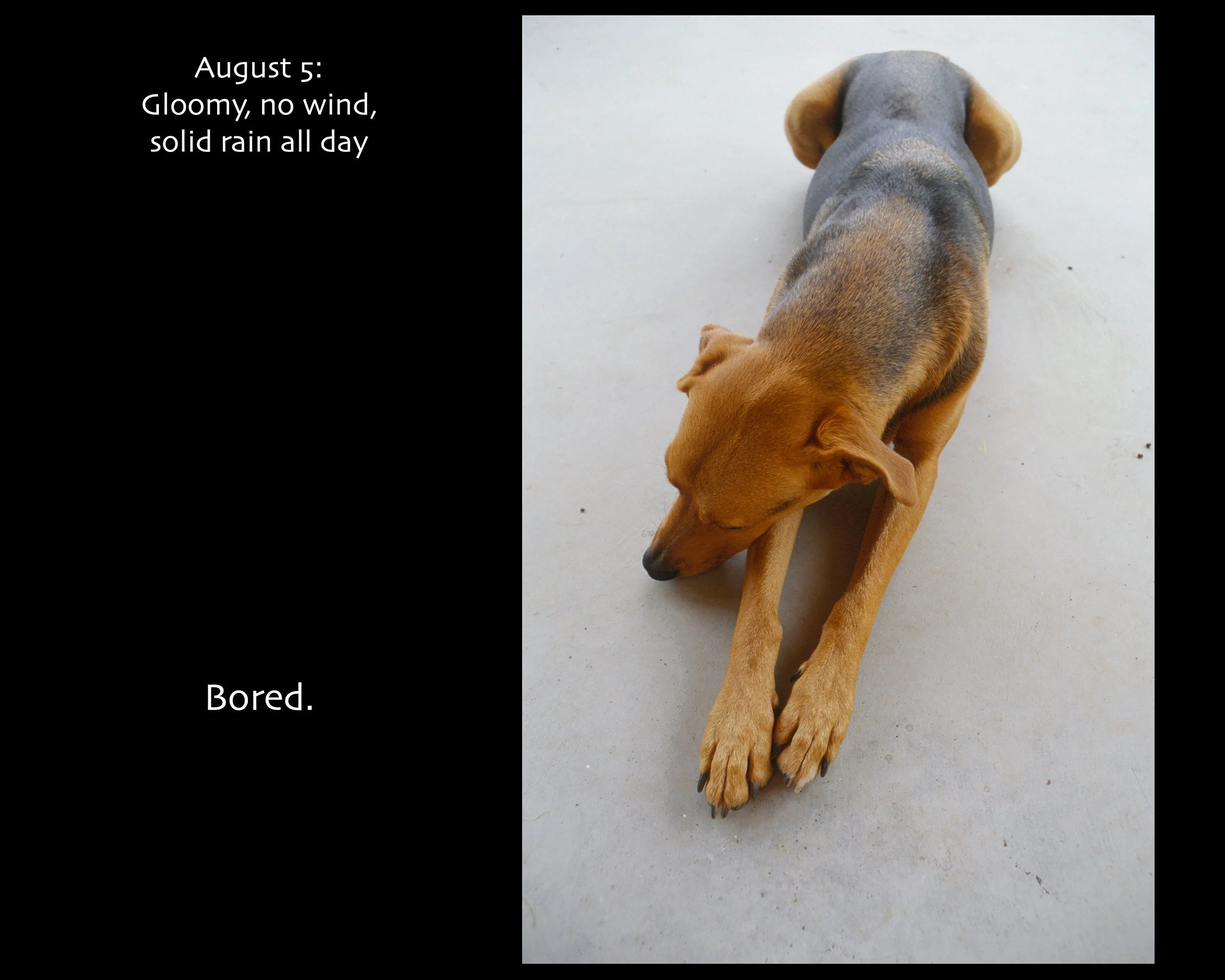 August 05_2500w x 2000h_AGD.jpg