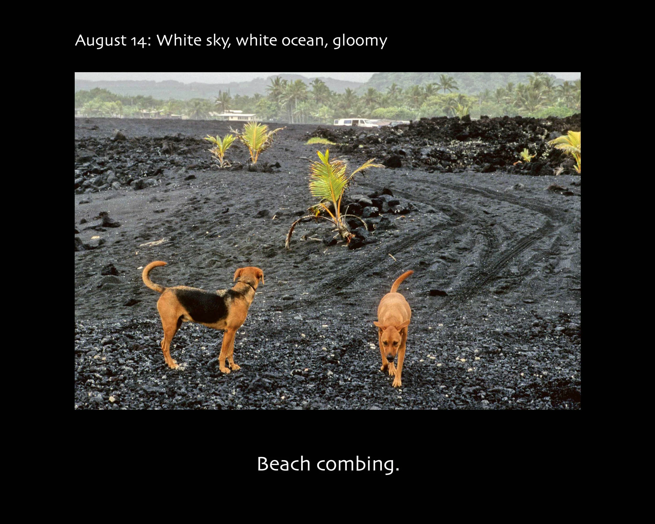 August 14_2500w x 2000h_AGD.jpg