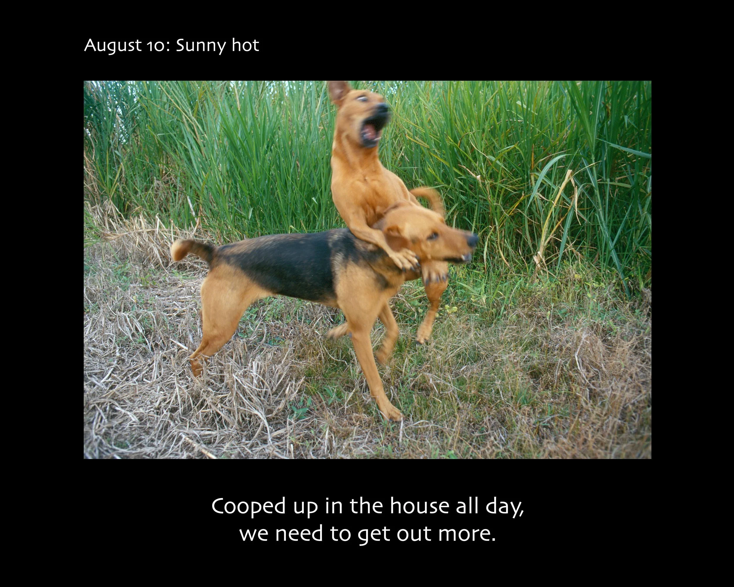 August 10_2500w x 2000h_AGD.jpg