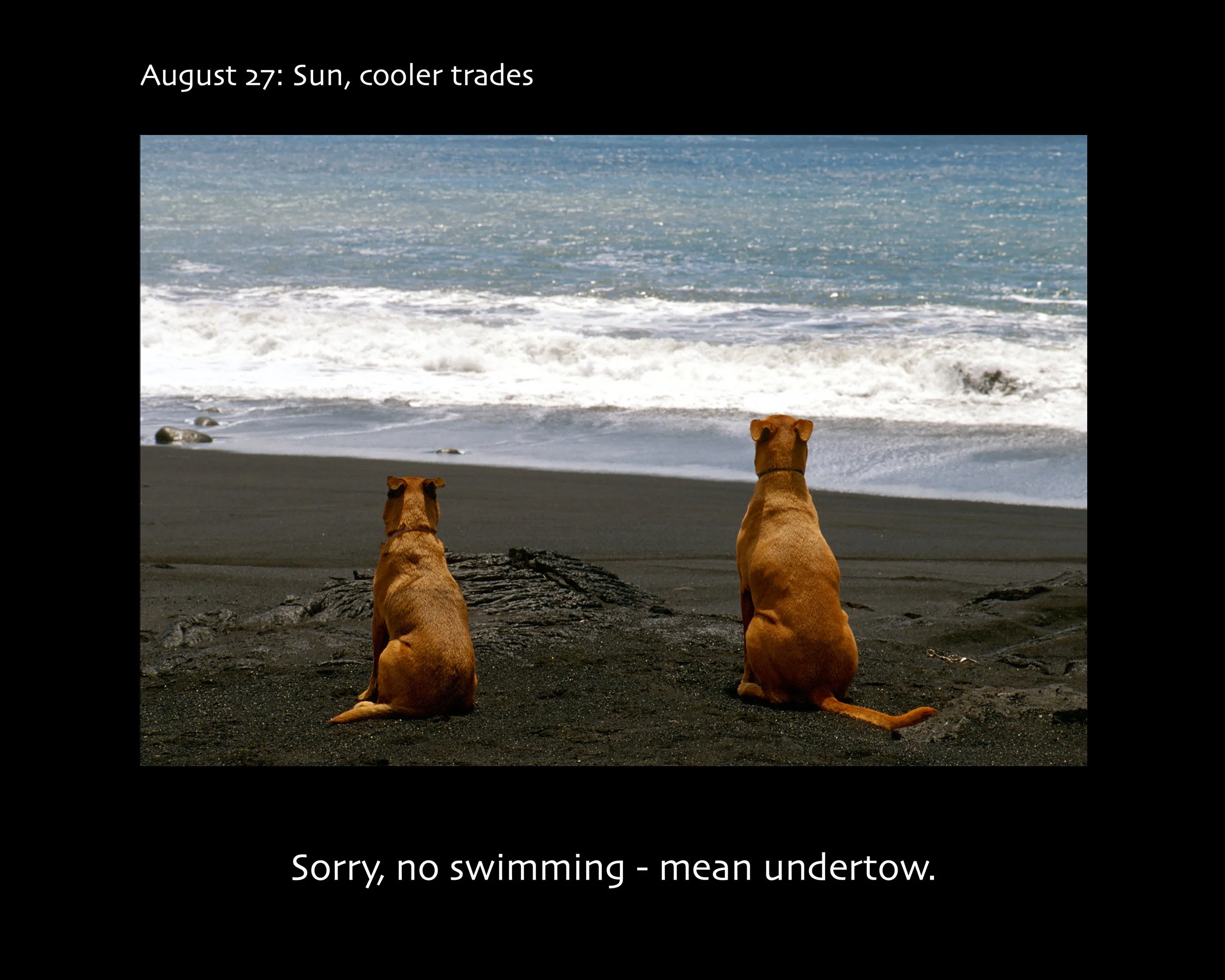 August 27_2500w x 2000h_AGD.jpg