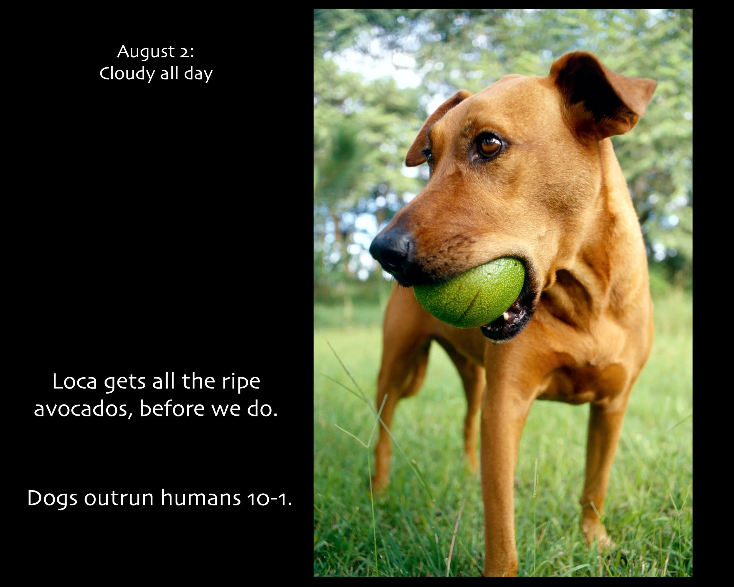 August 02_2500w x 2000h_AGD.jpg