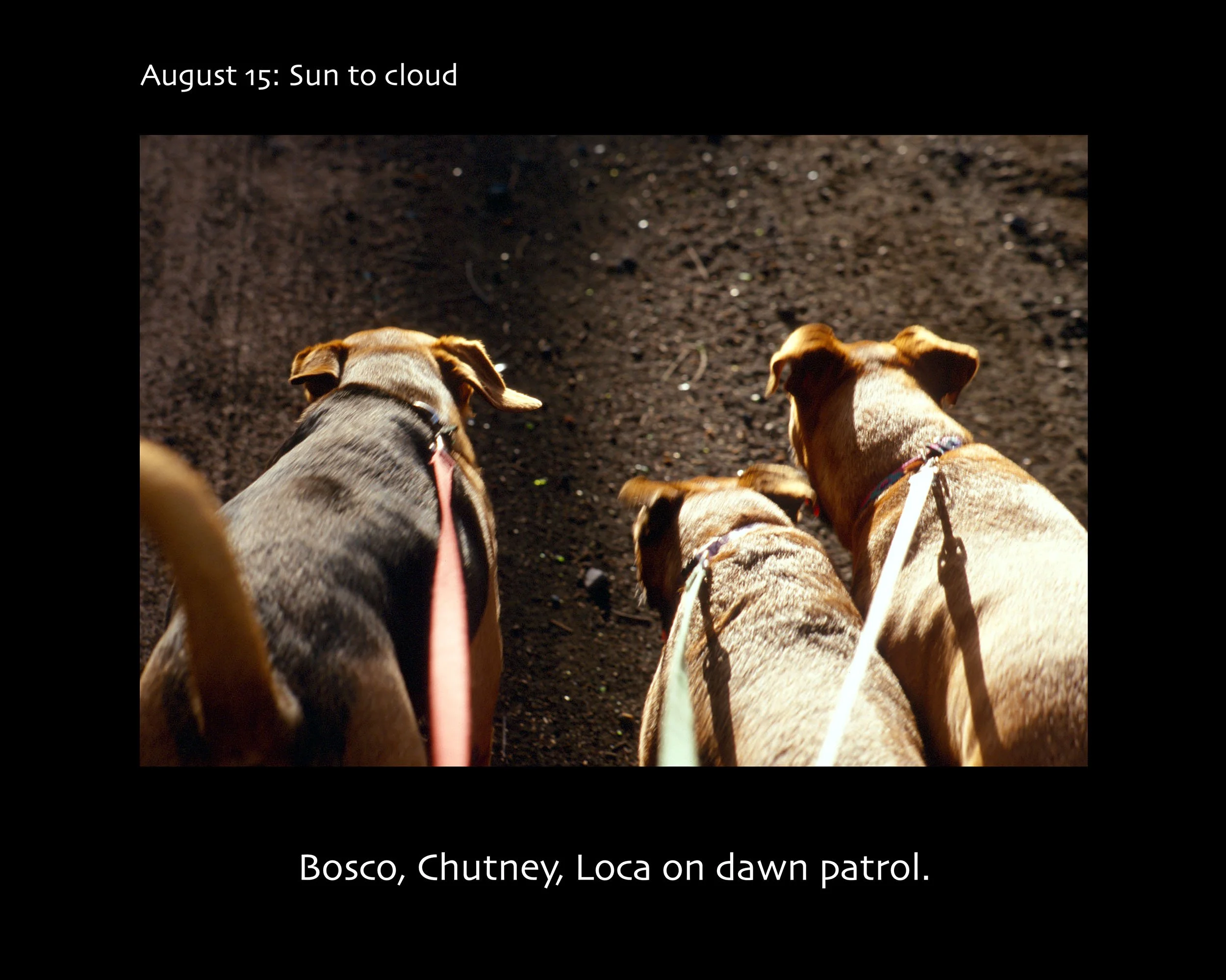 August 15_2500w x 2000h_AGD.jpg