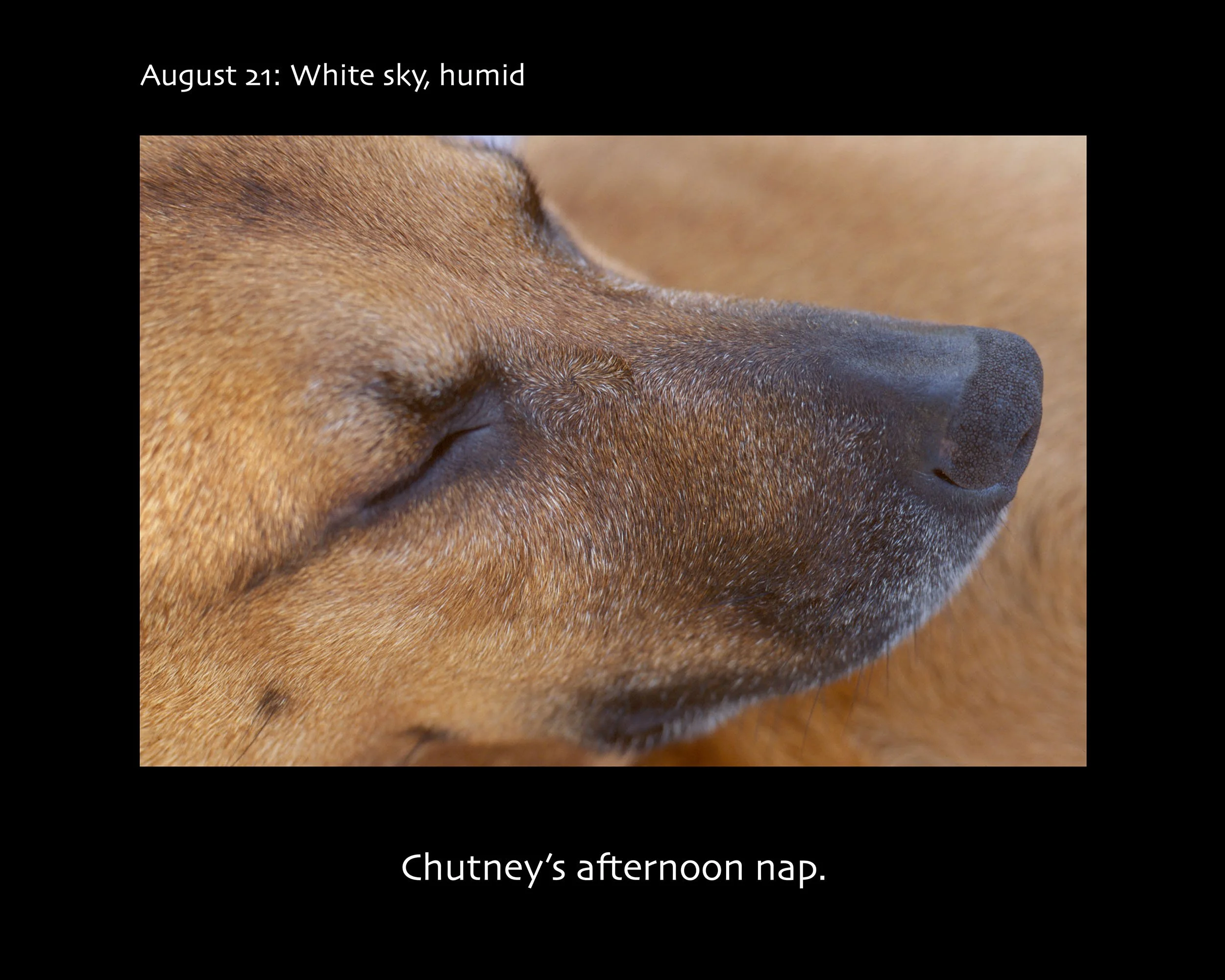 August 21_2500w x 2000h_AGD.jpg