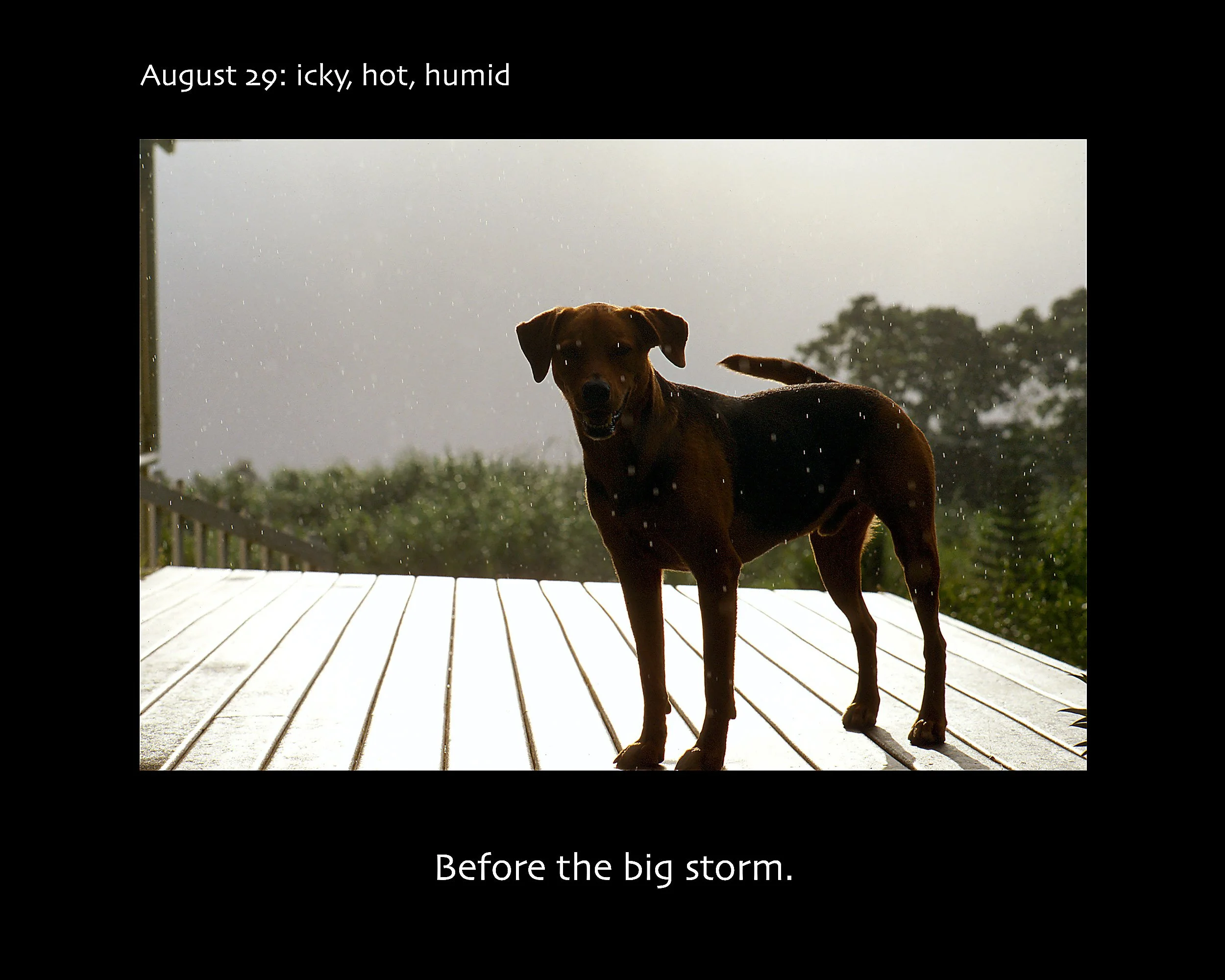 August 29_2500w x 2000h_AGD.jpg