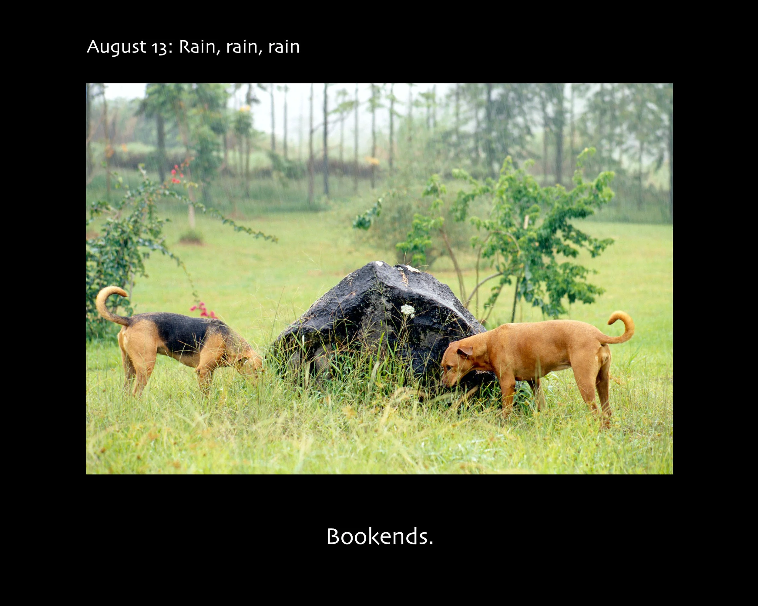 August 13_2500w x 2000h_AGD.jpg