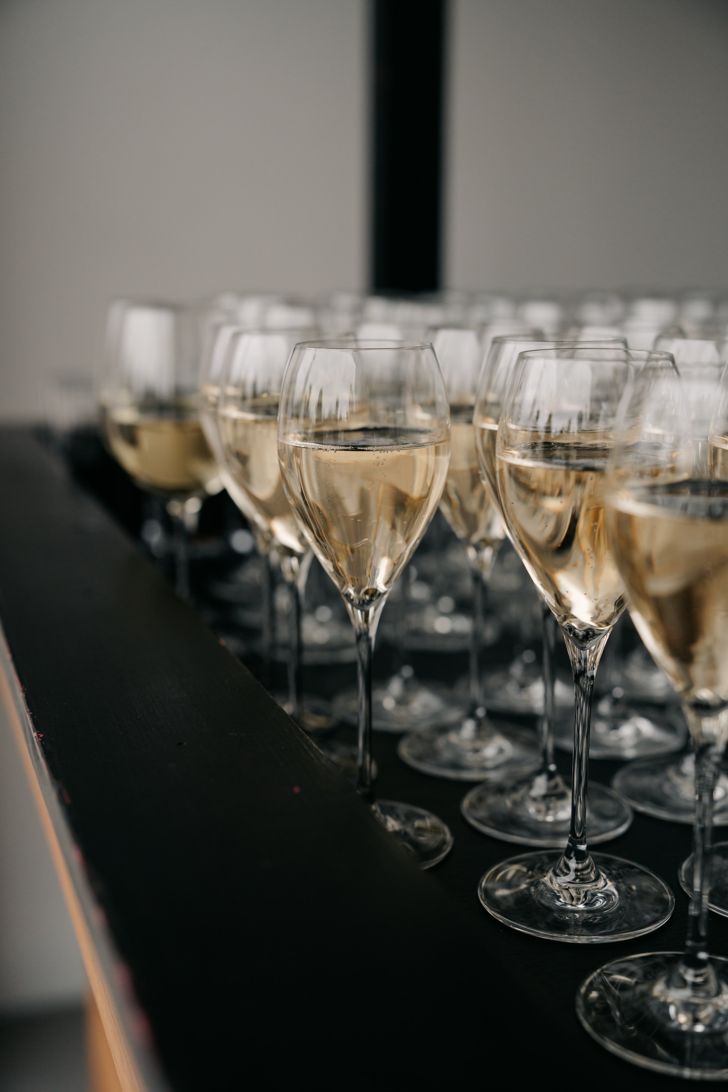 SNOG Ball 2025-011.jpg