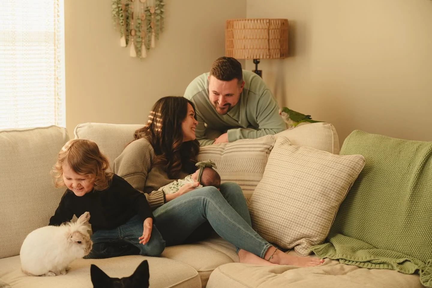 Some sessions don&rsquo;t feel like work for one second. 
They feel like stepping into someone&rsquo;s life for a quiet evening.

Three dogs moving through the house very chill. 
A bunny tucked into the corner.
A parrot offering a splash of color als