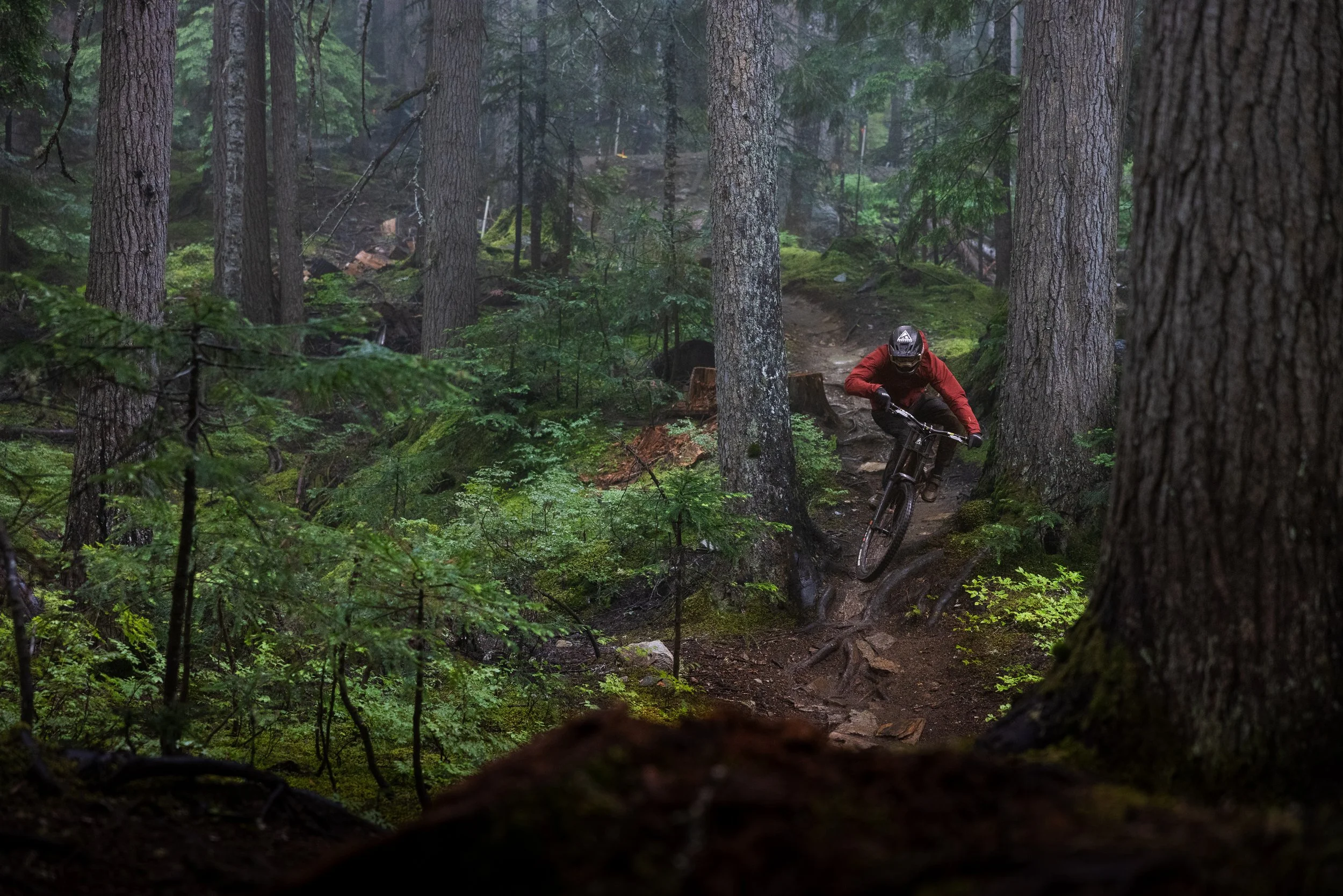 MatWanbonPhoto_DeepSummer-JPG-188.jpg