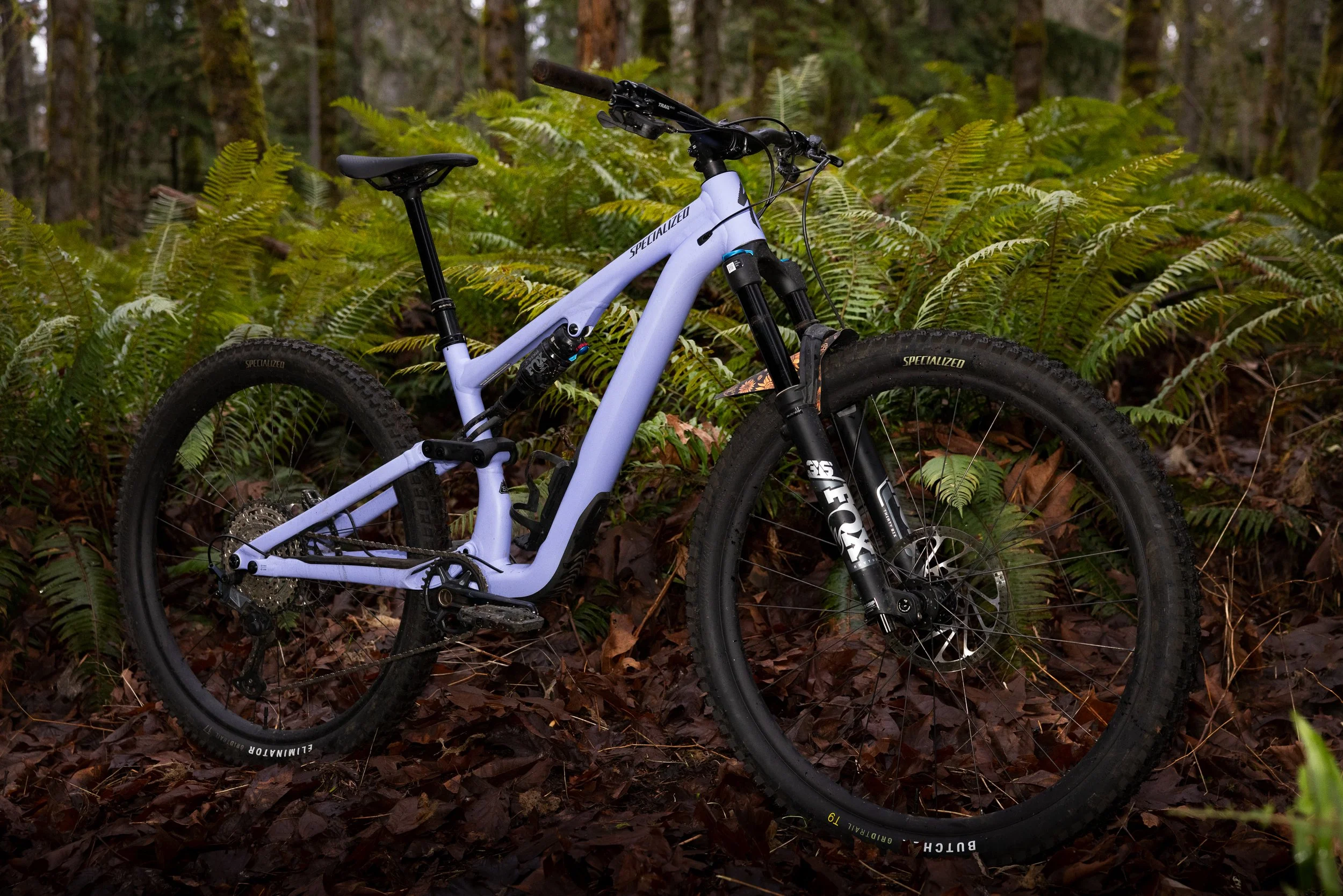A purple mountain bike with a full suspension is resting on a forest floor covered with fallen leaves and surrounded by green ferns.