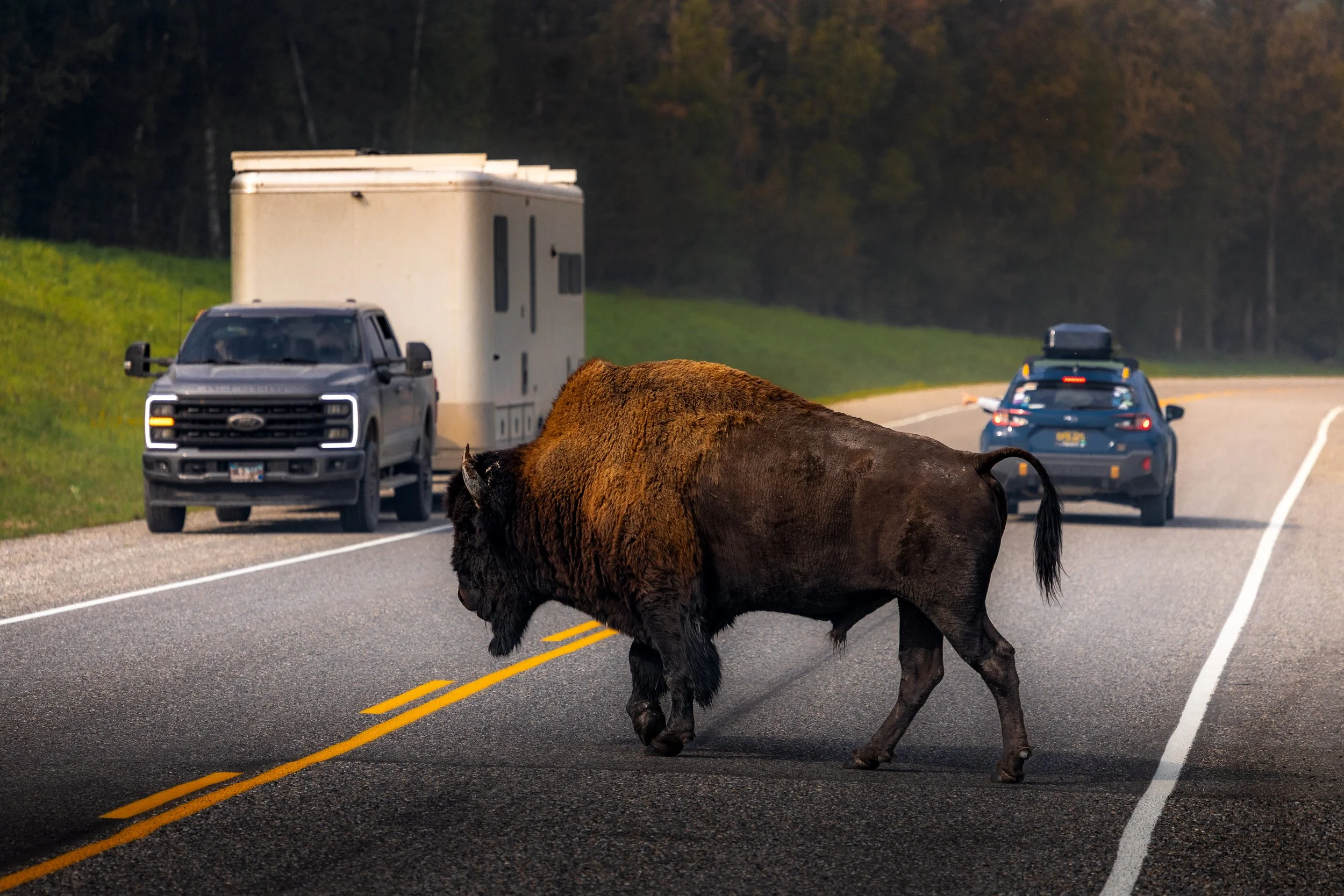 MWPhoto_NorthernBC_Reedits-34.jpg