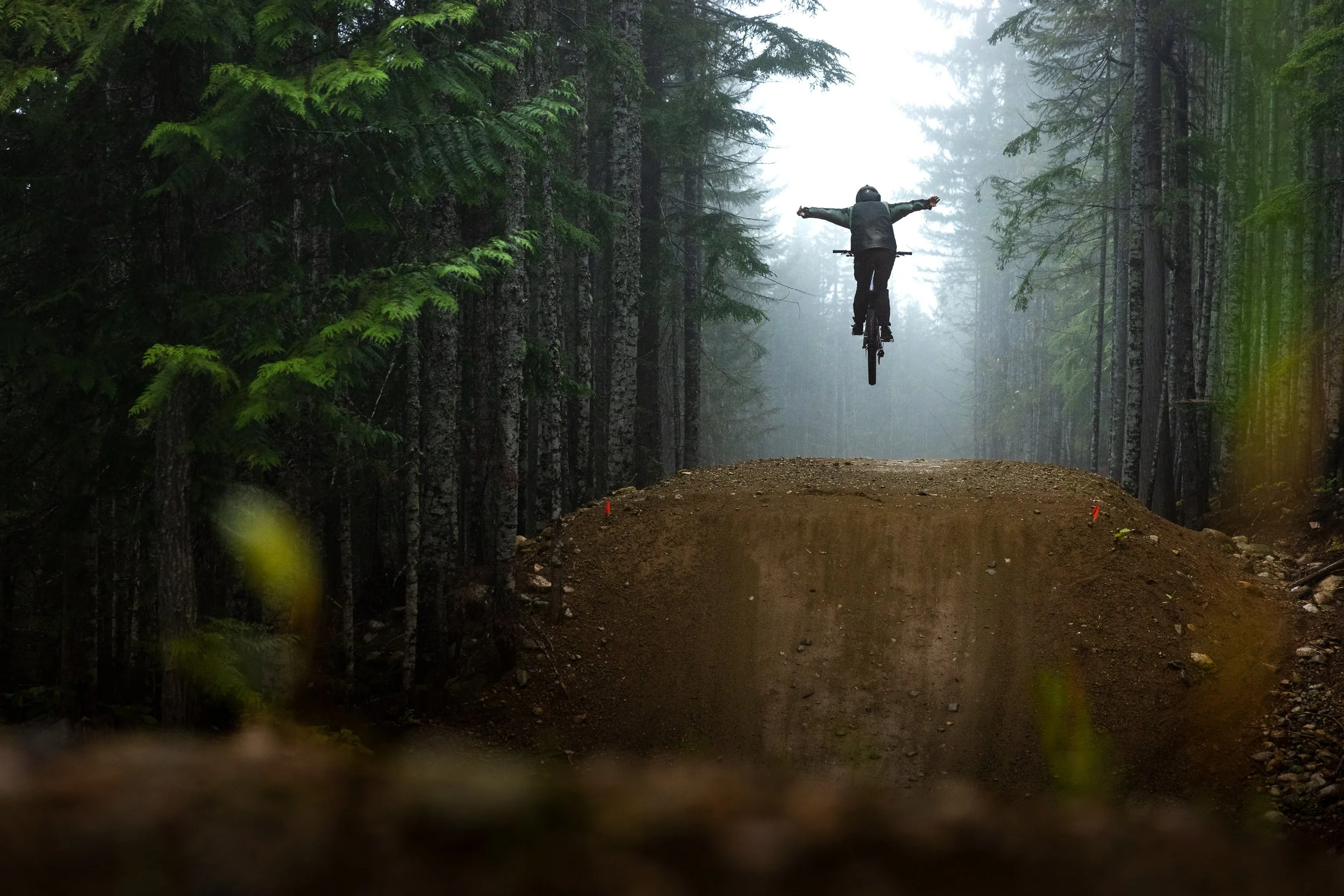 MatWanbonPhoto_DeepSummer-JPG-180.jpg