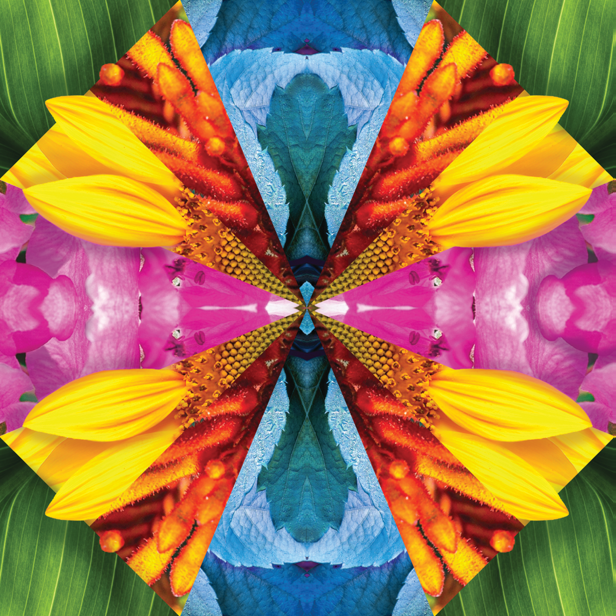 Transforming Perspectives: An Interactive Journey with Studio Air