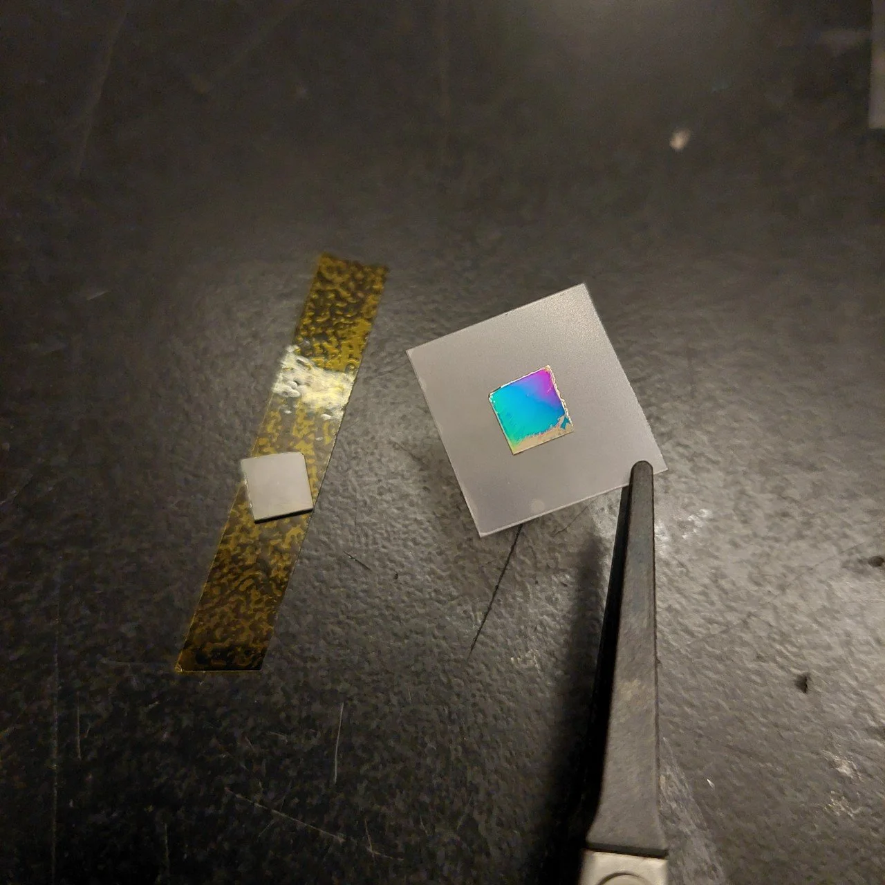 Exfoliated PMN-PT film