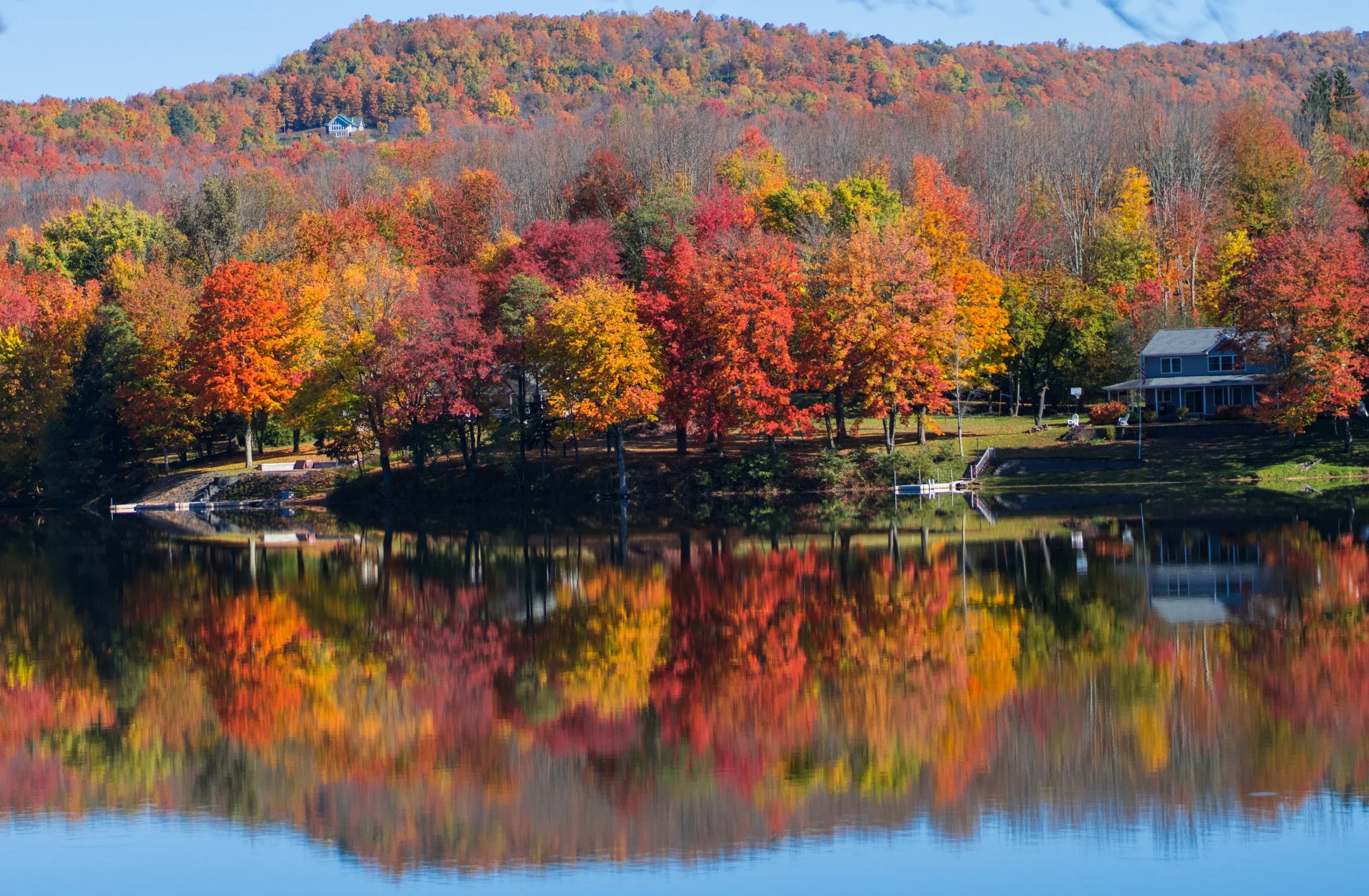 _DSC0310.jpg.webp