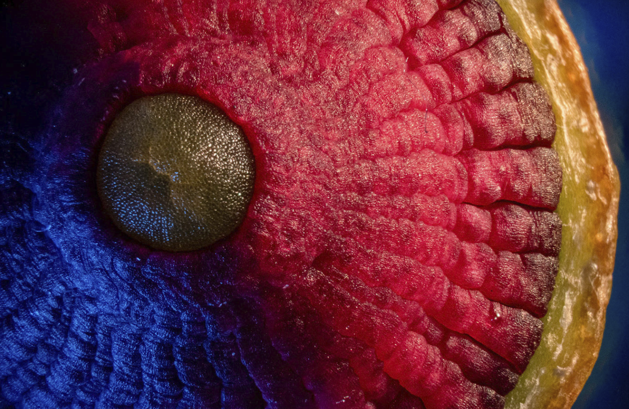 Screen Shot 2022-05-23 at 12.23.06 pm.png