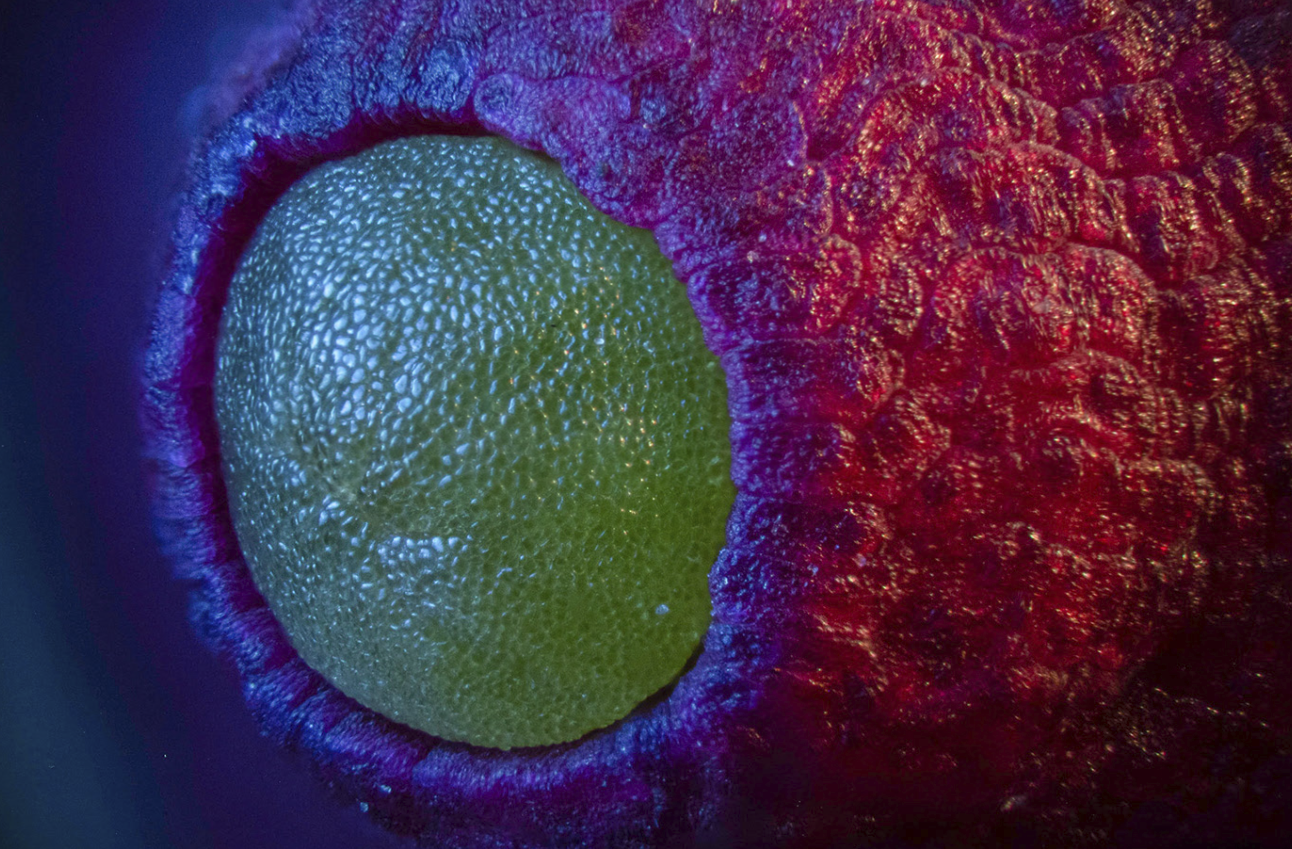 Screen Shot 2022-05-23 at 12.22.40 pm.png