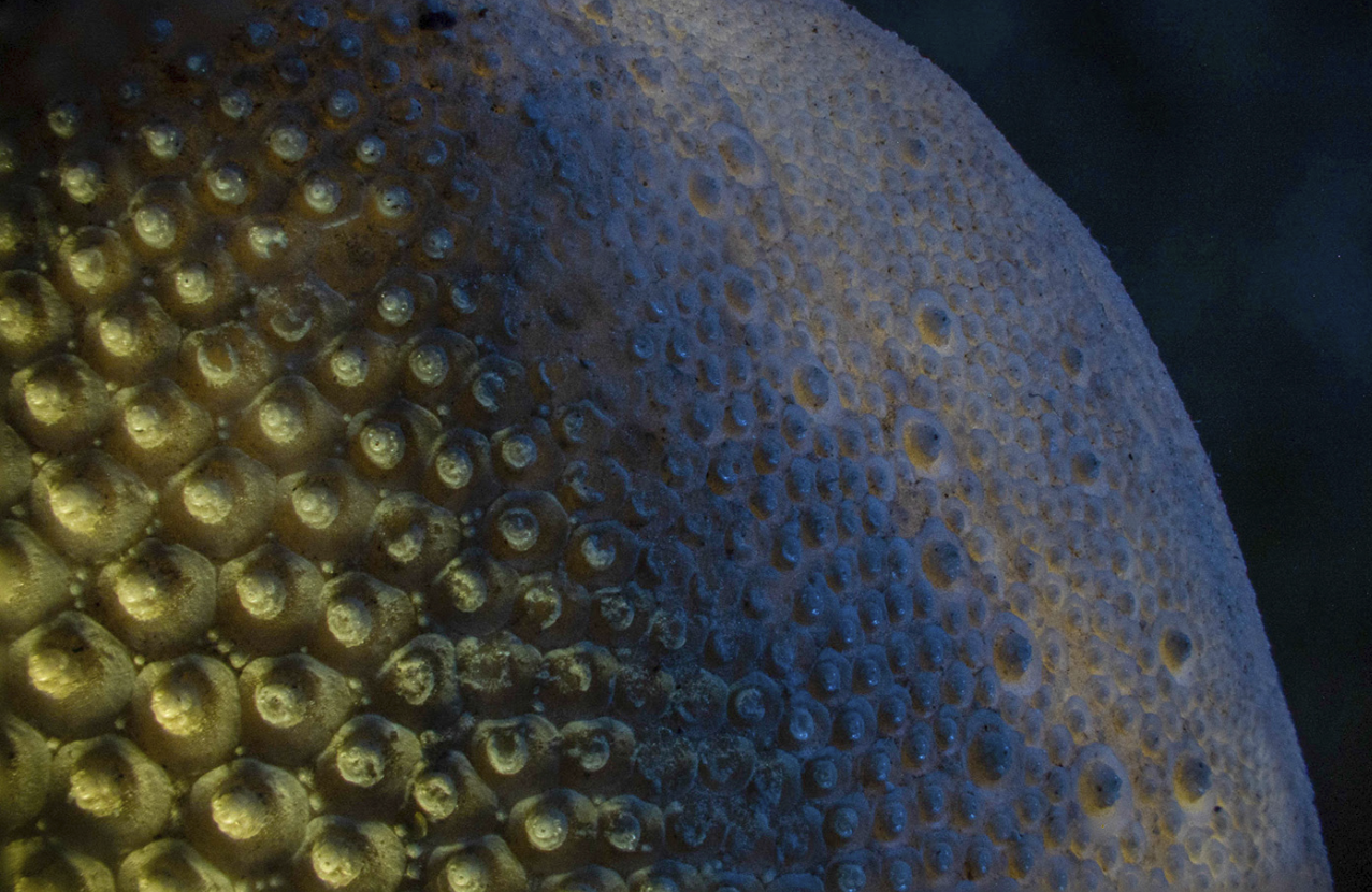 Screen Shot 2022-05-23 at 12.20.52 pm.png