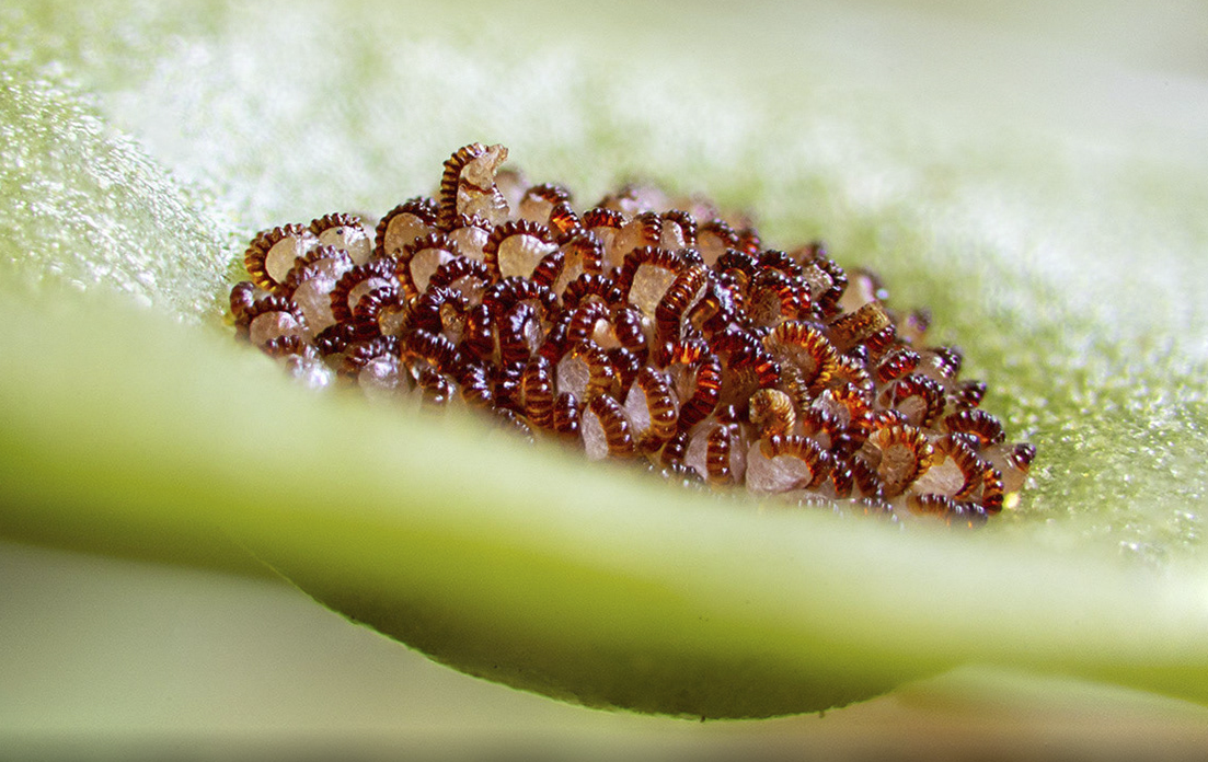 Screen Shot 2022-05-23 at 12.21.26 pm.png