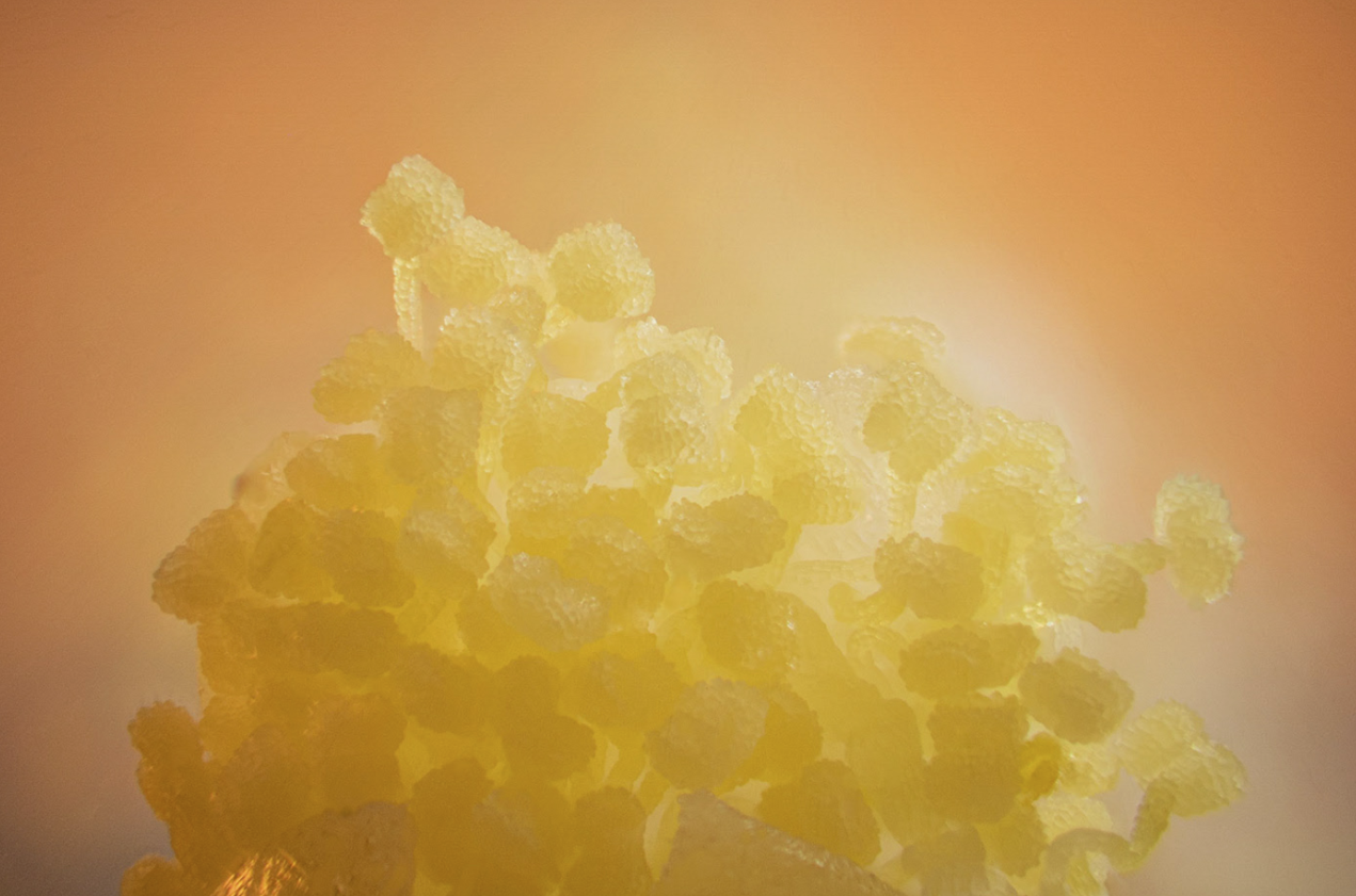 Screen Shot 2022-05-23 at 12.27.56 pm.png