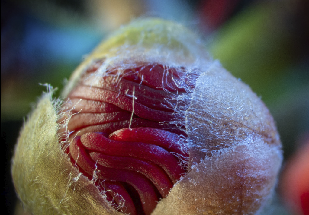 Screen Shot 2022-05-23 at 12.26.26 pm.png