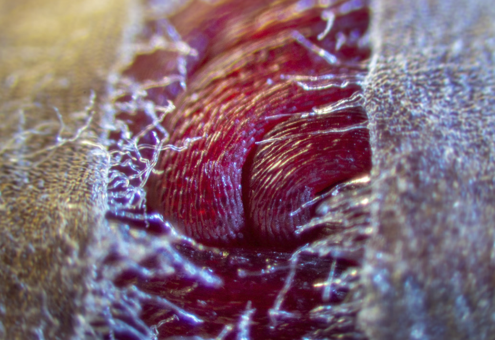 Screen Shot 2022-05-23 at 12.24.37 pm.png