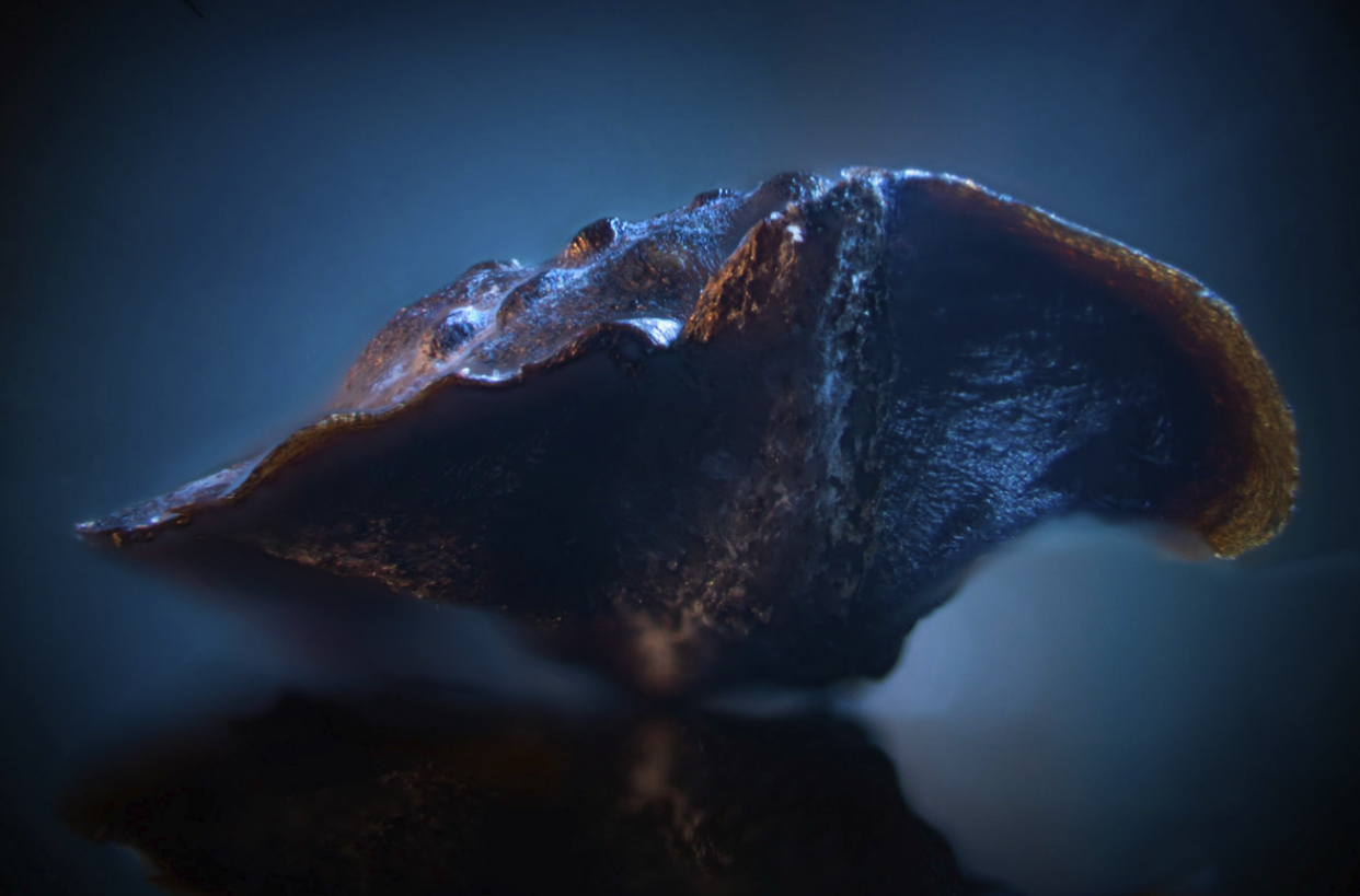 Screen Shot 2022-05-23 at 12.29.08 pm.png