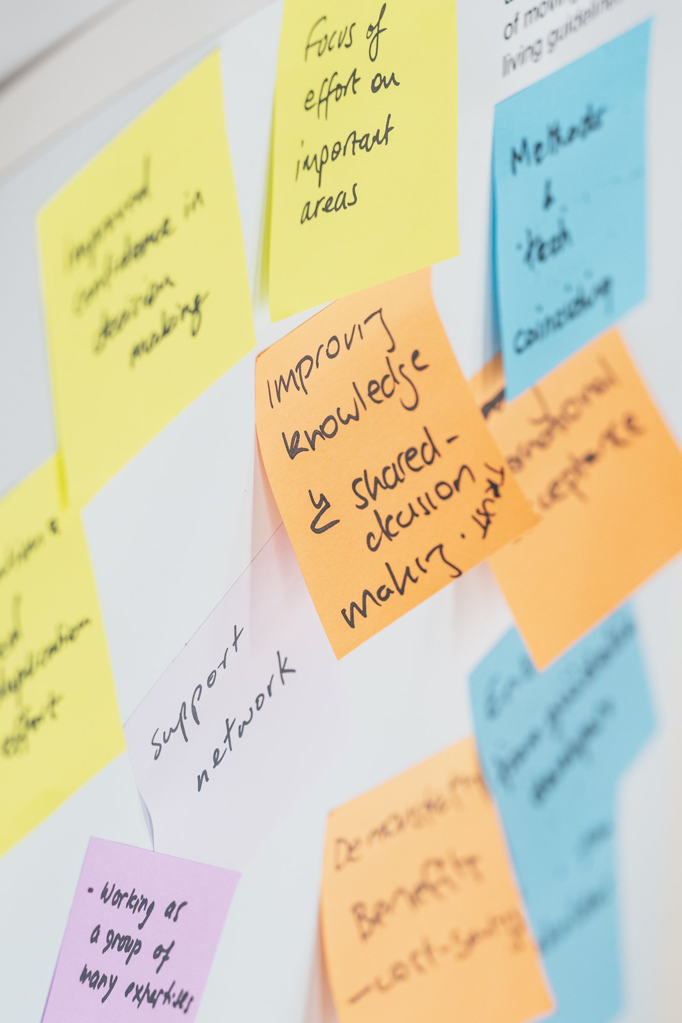Global Living Evidence Architecture workshop-068.jpg