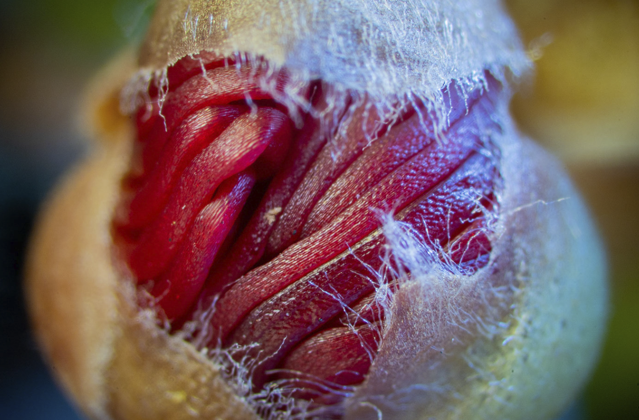 Screen Shot 2022-05-23 at 12.25.31 pm.png