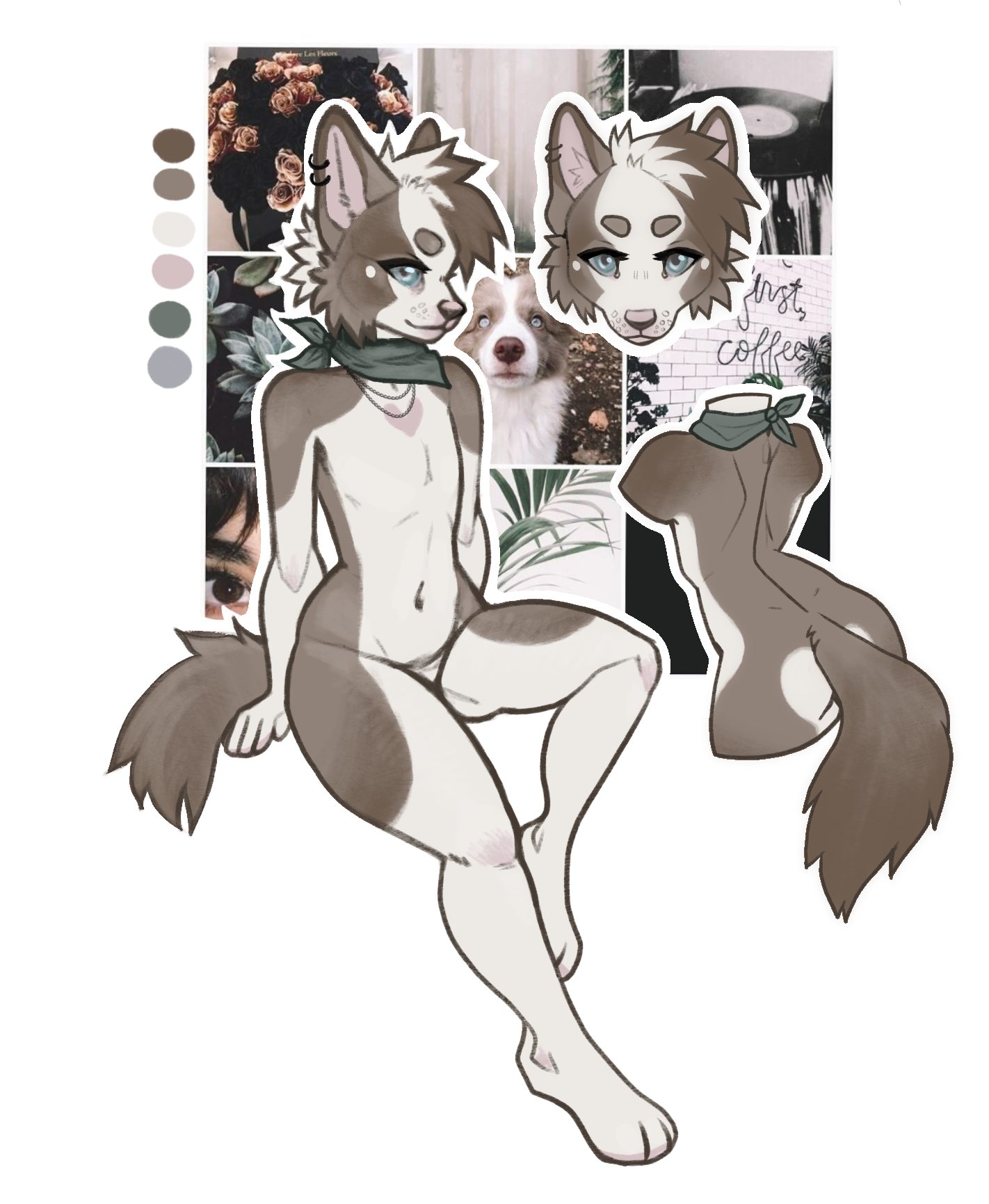 Coffeeshop Border Collie - 2020