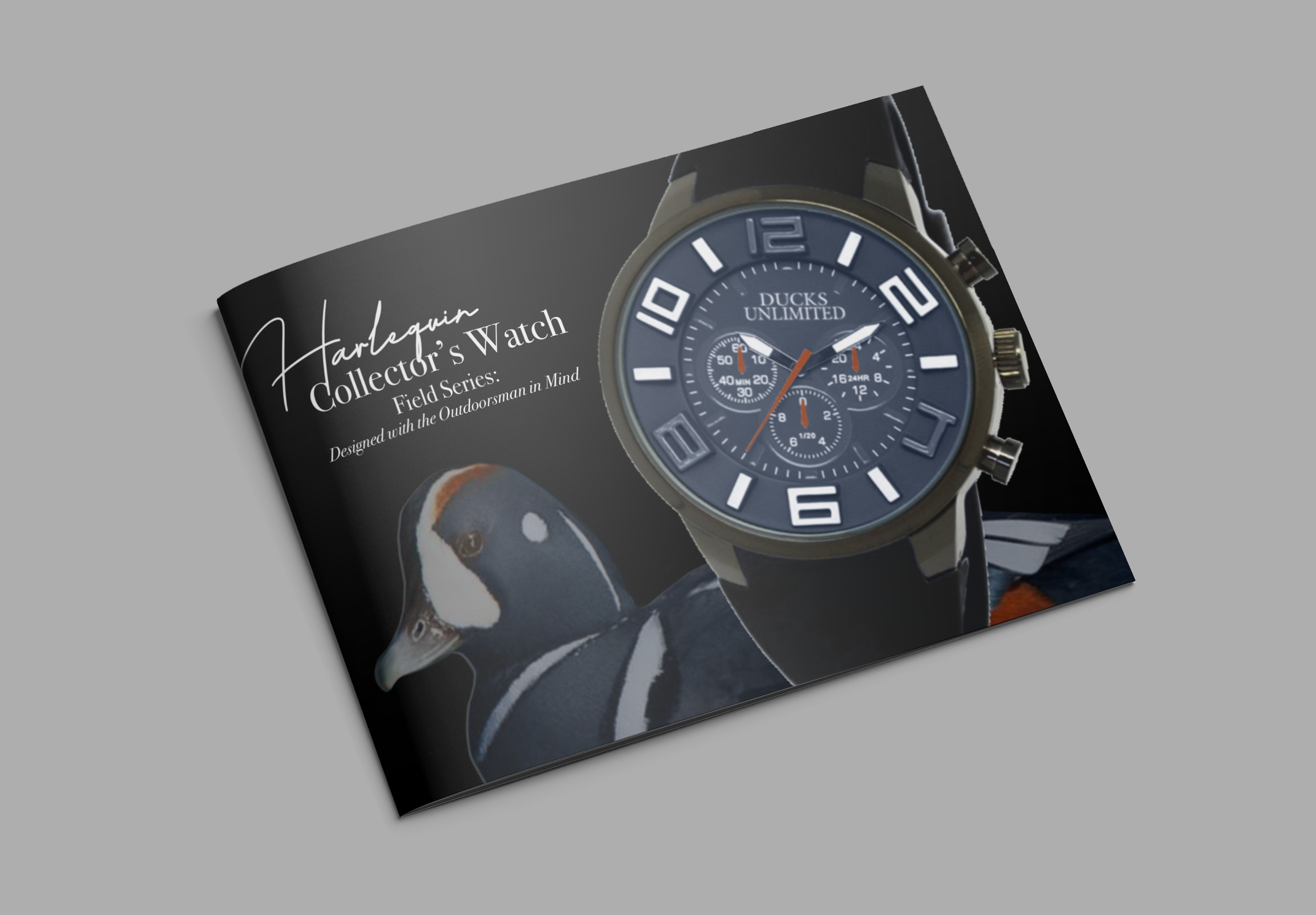 Brochure 1
