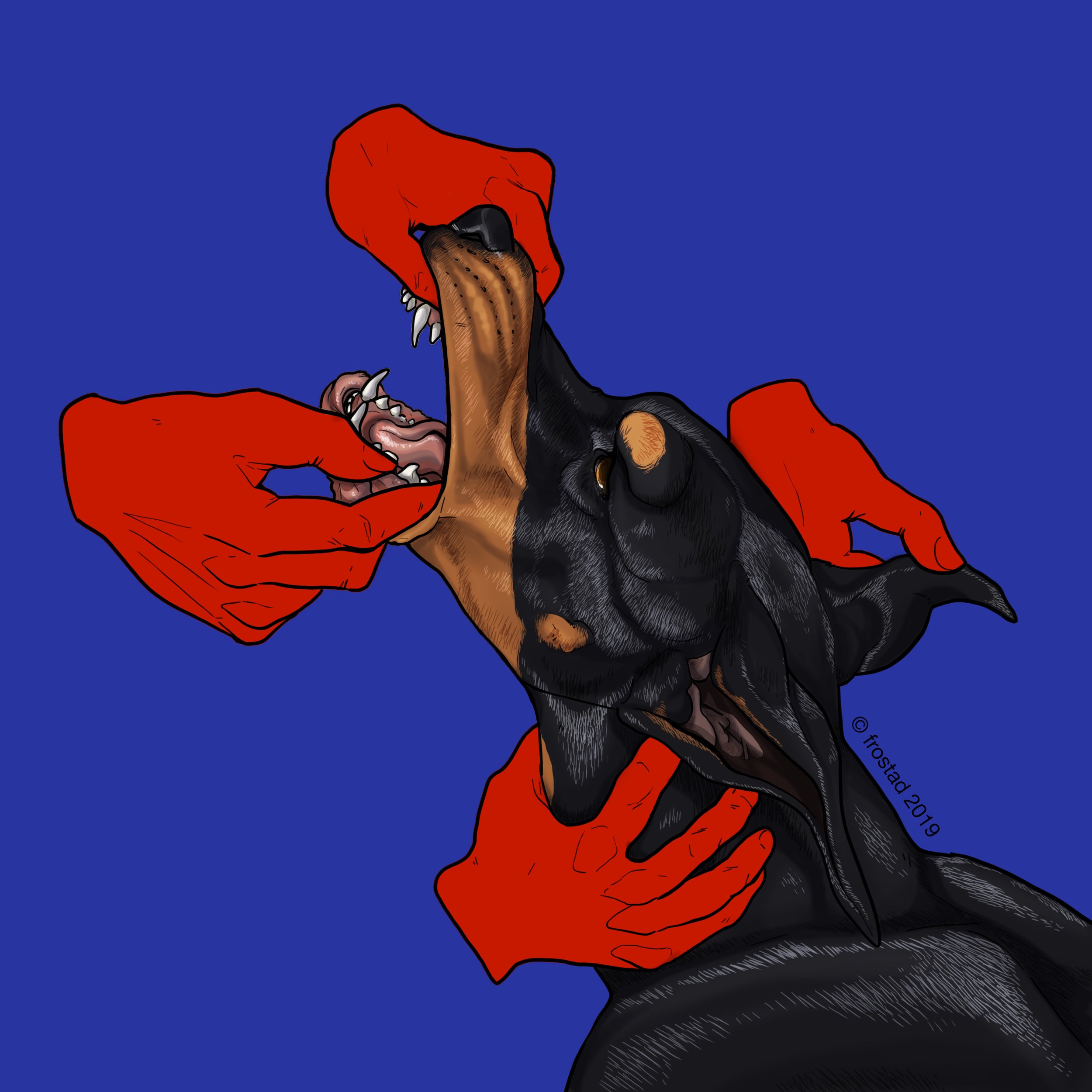 Doberman Series 3 - 2019