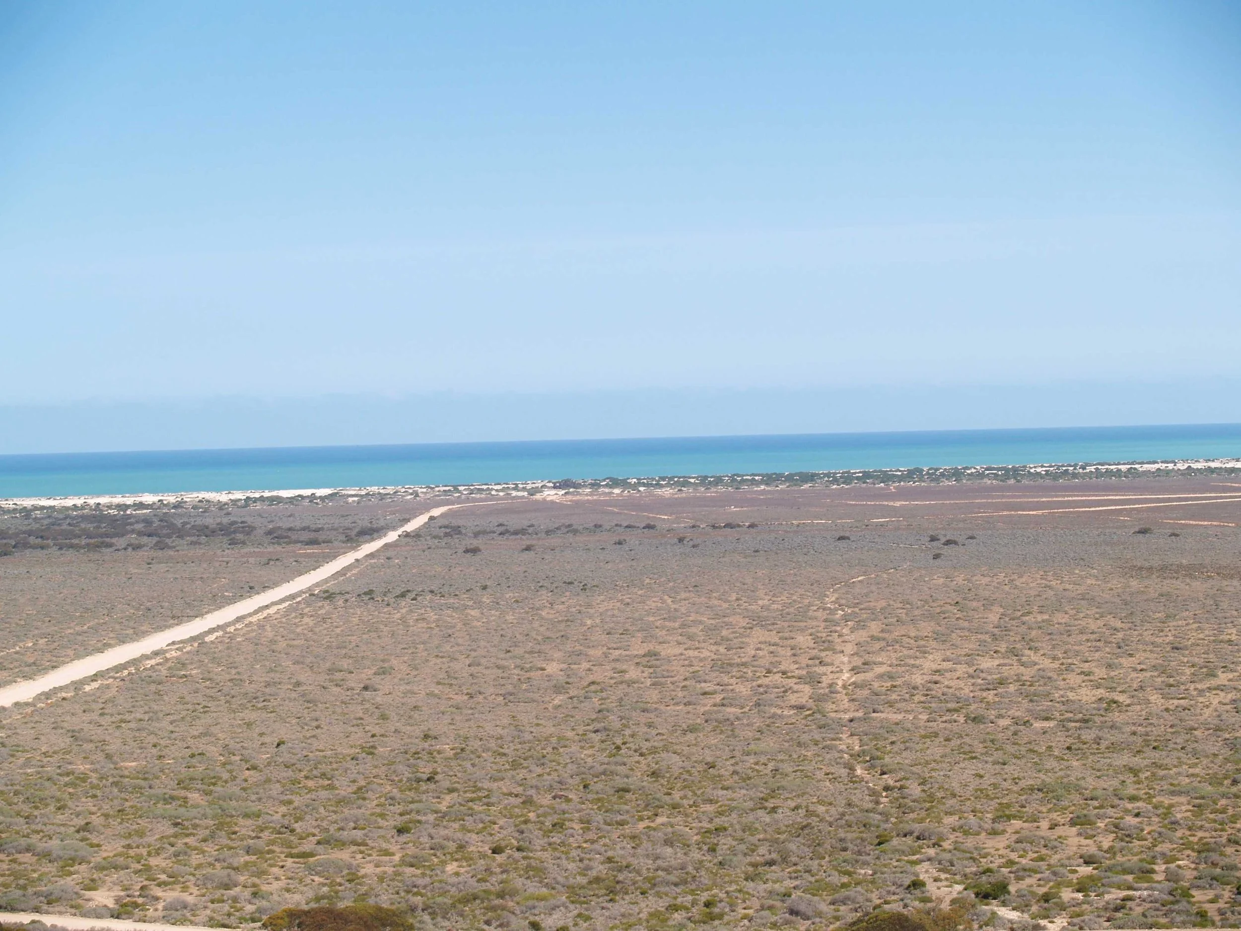 Through the Chatter of the Road