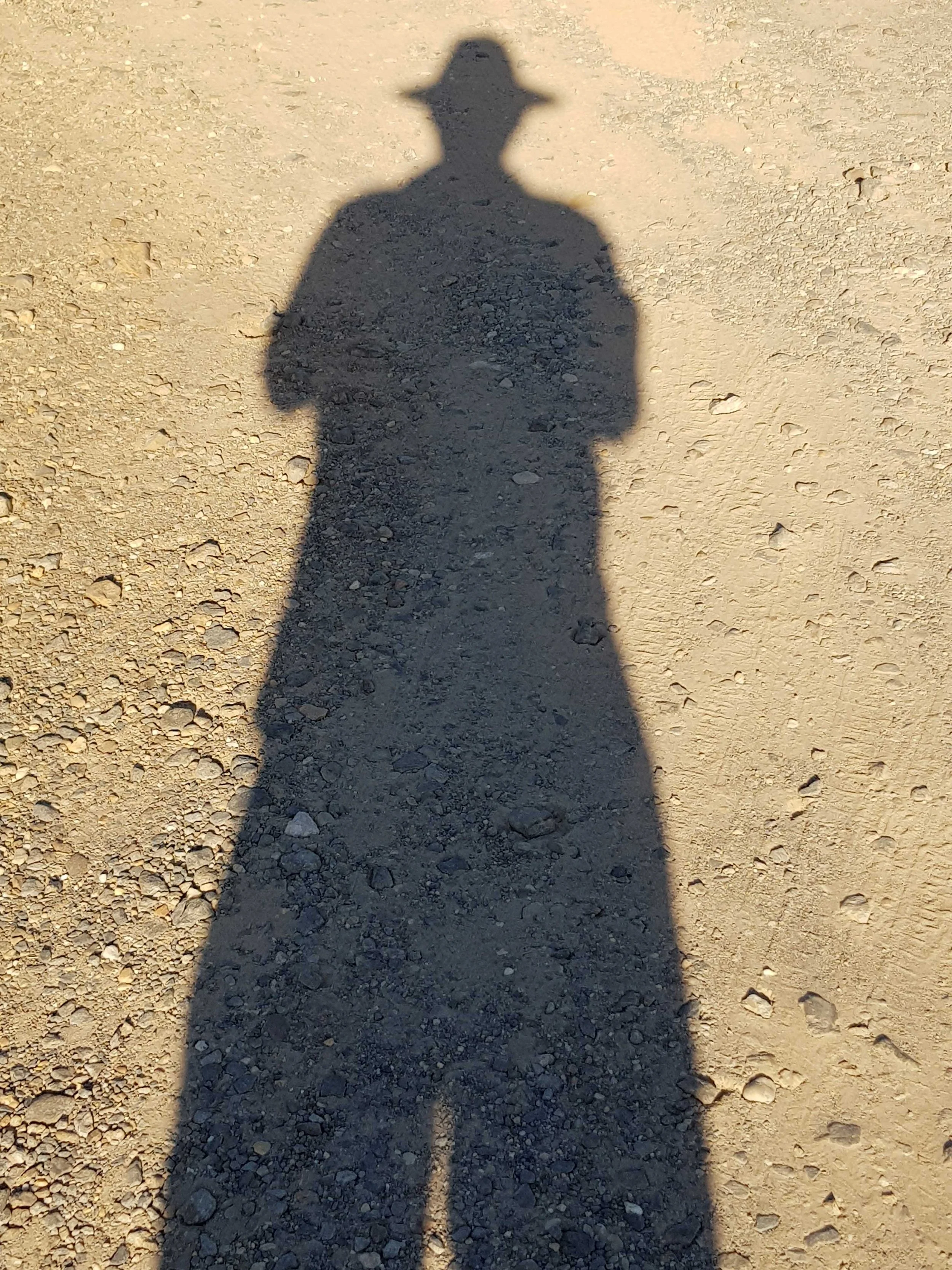 Shadow Self