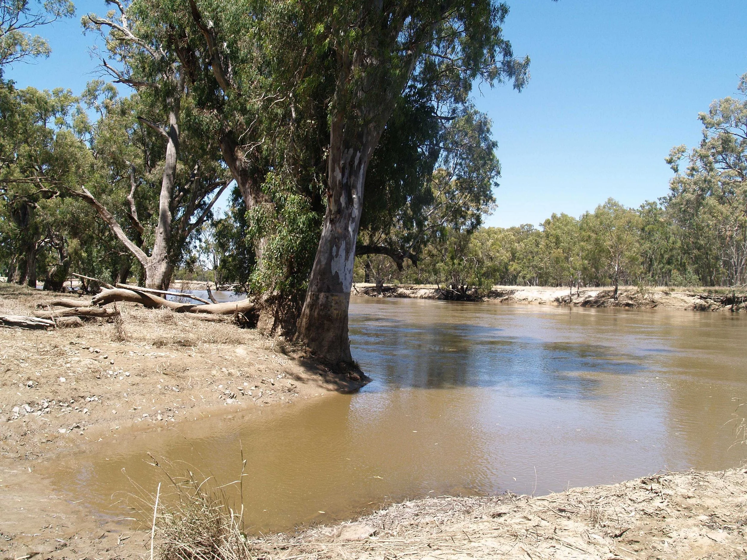 Floatin’ Down the ‘Bidgee