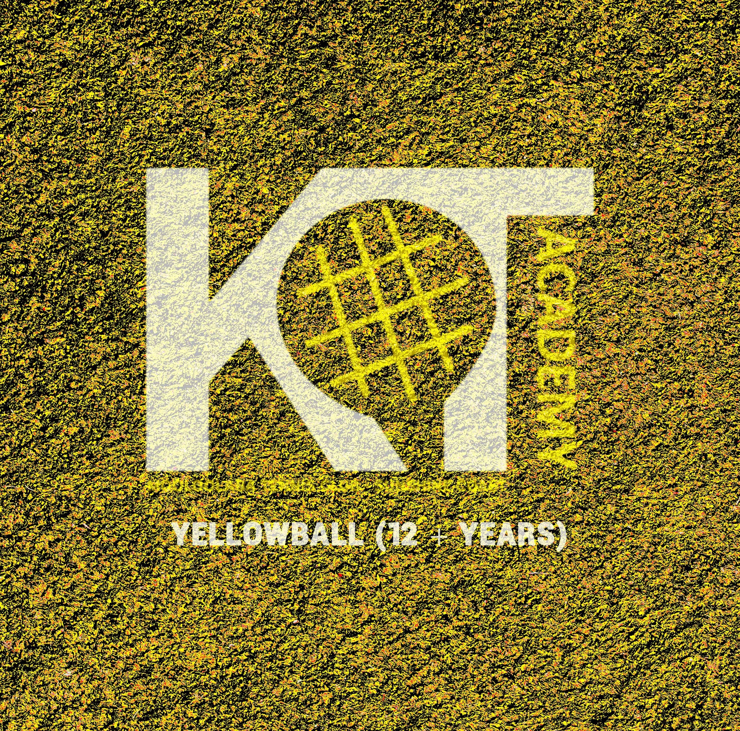 HOTSHOTS BALL YELLOW.jpg