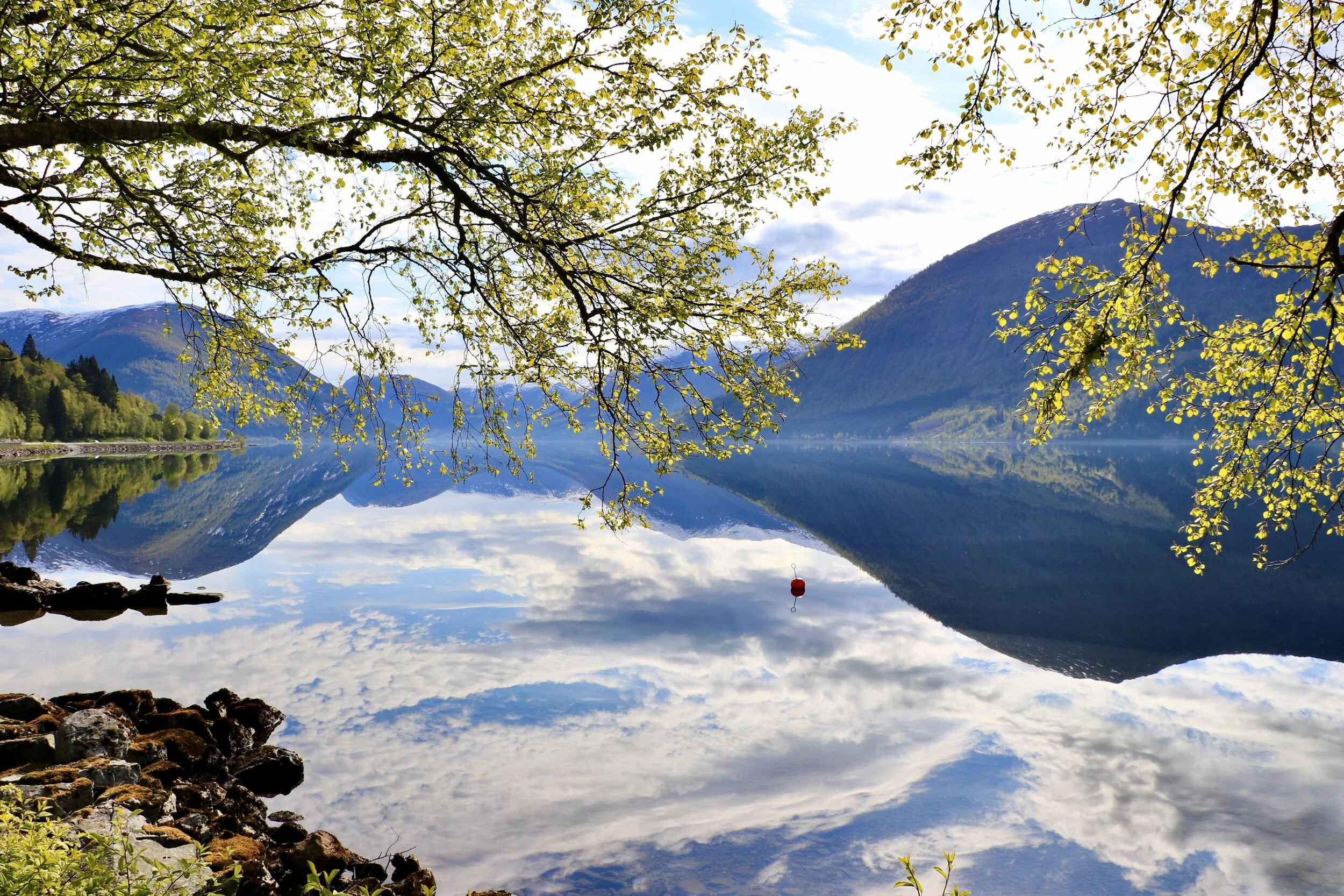 Slik kan du risikovurdere verksemda før oppstart