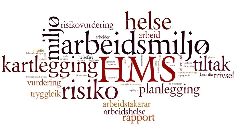 Veit du eigentleg kva du kan nytte bedriftshelsetenesta til? 