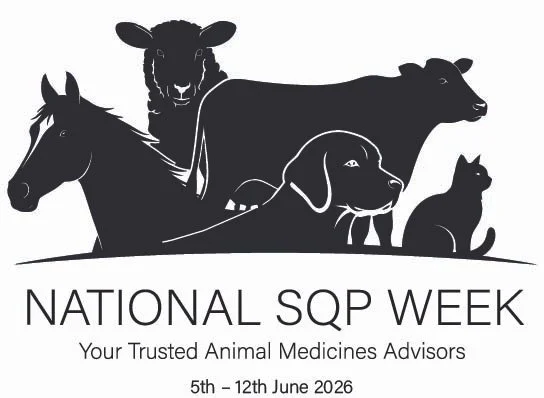 First ever National SQP Week to take place 5–12 June 2026