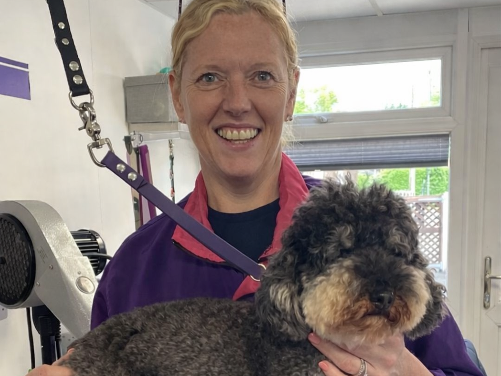 VetSkill hosts successful Dog Grooming CPD event with BIGA