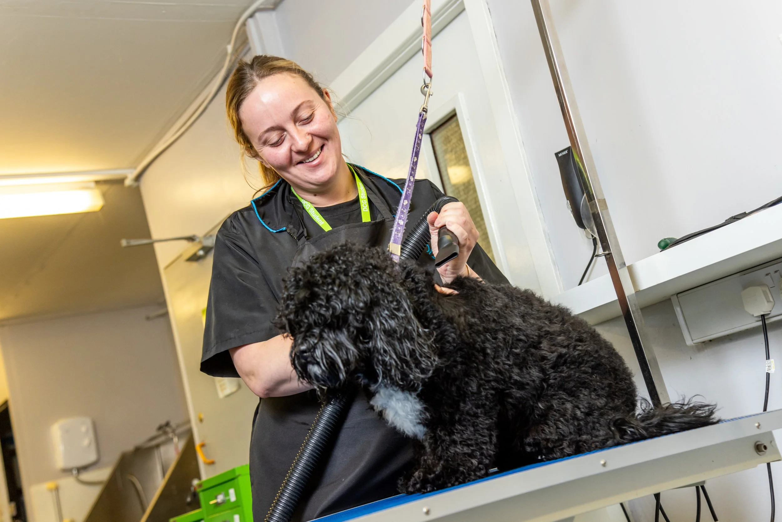 VetSkill to deliver dog grooming and equine apprenticeship assessments for Derby College Group