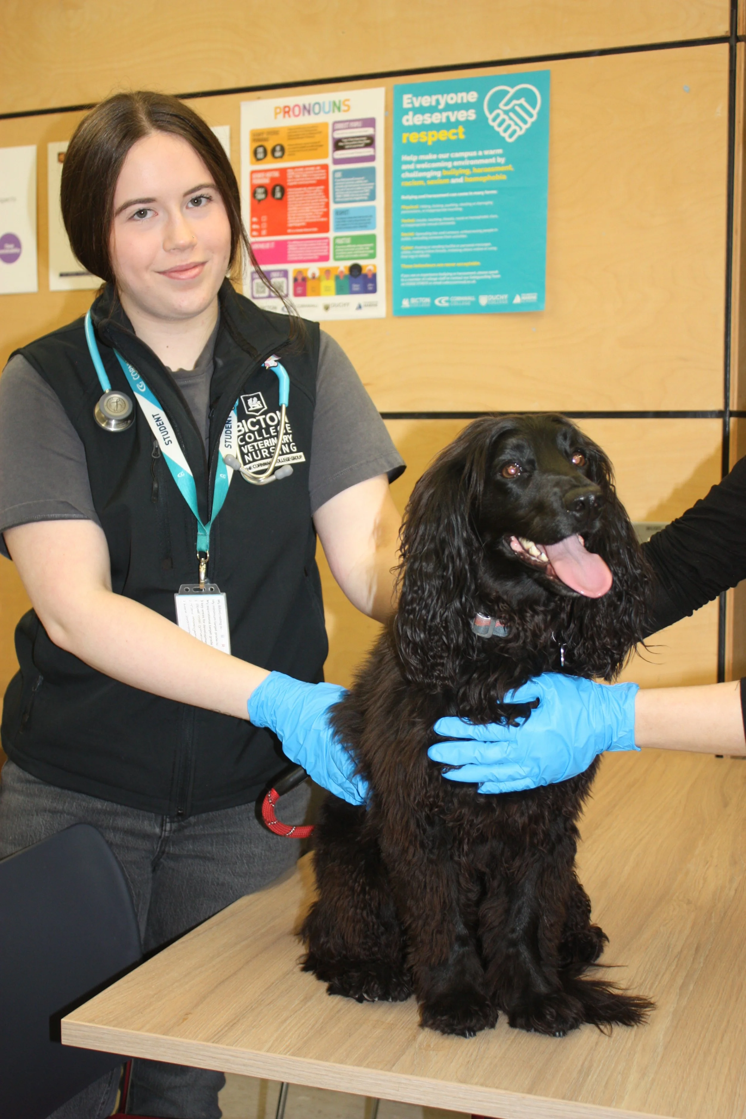 Bicton College adds VetSkill Level 2 Diploma in Patient Care Assistance to portfolio