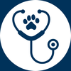 What is an SQP? — VetSkill