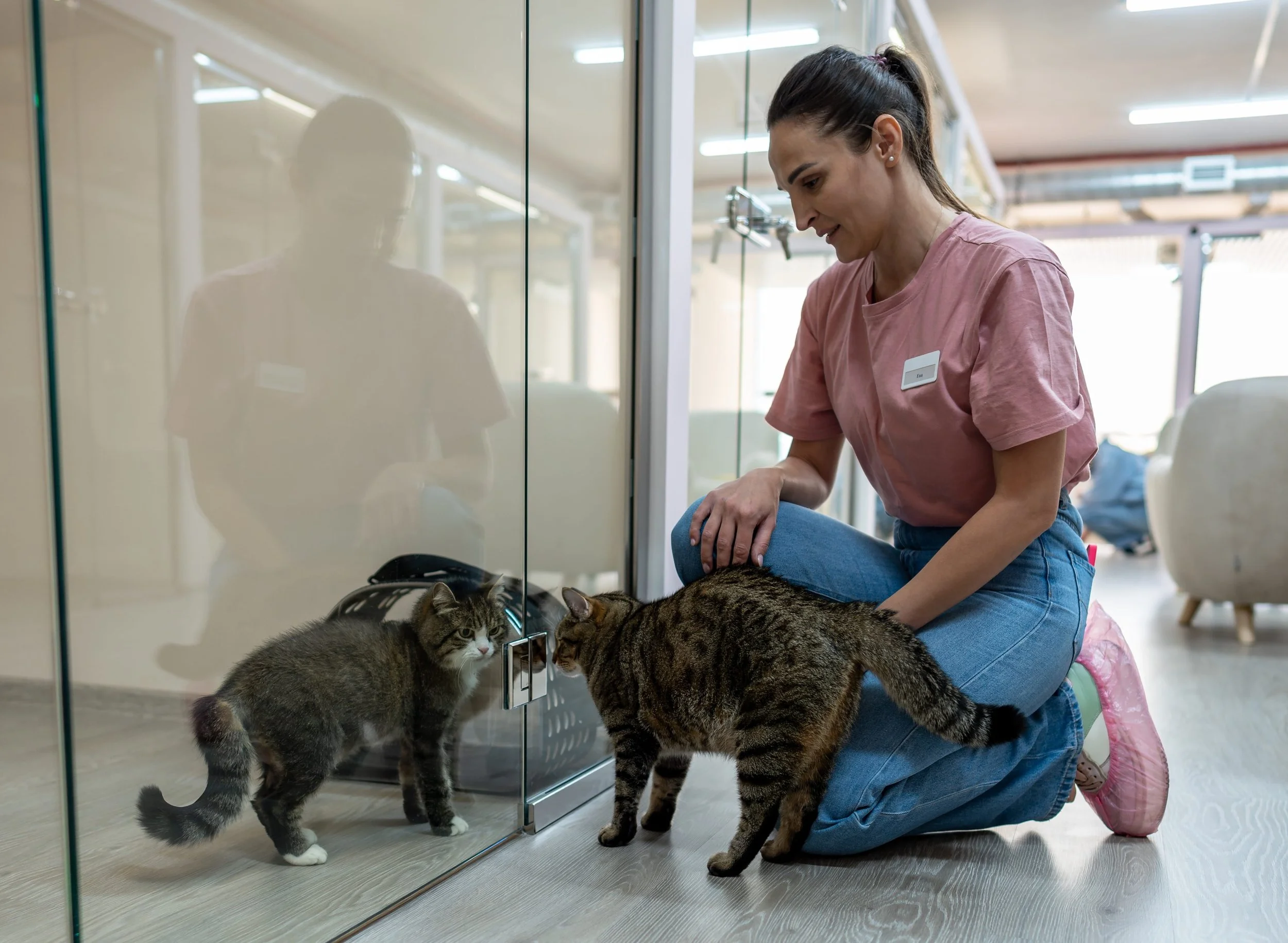 Level 3 End-Point Assessment for Animal Care and Welfare Manager