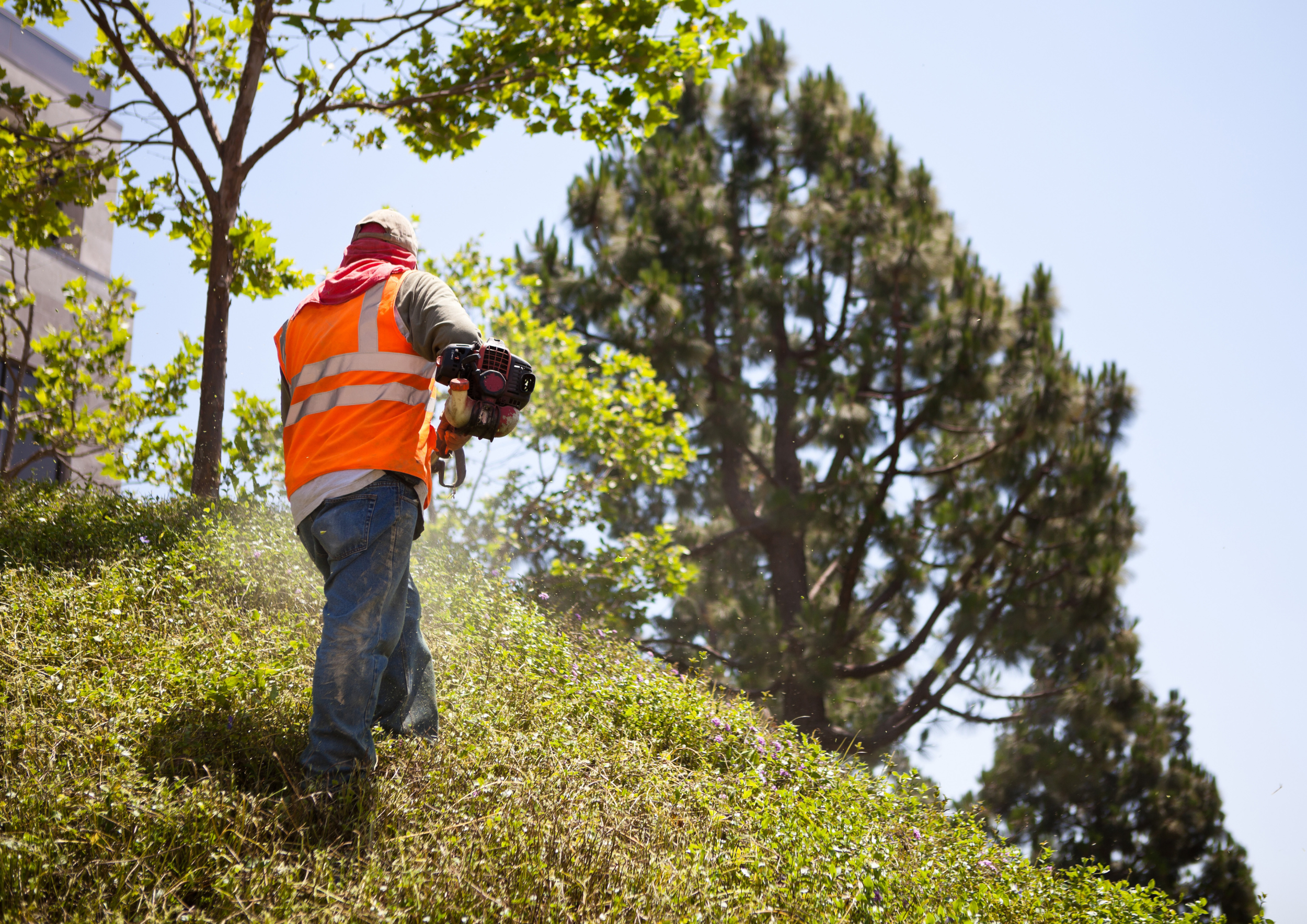 Independent End-Point Assessor (IEPA) (Landscape Technician) — VetSkill