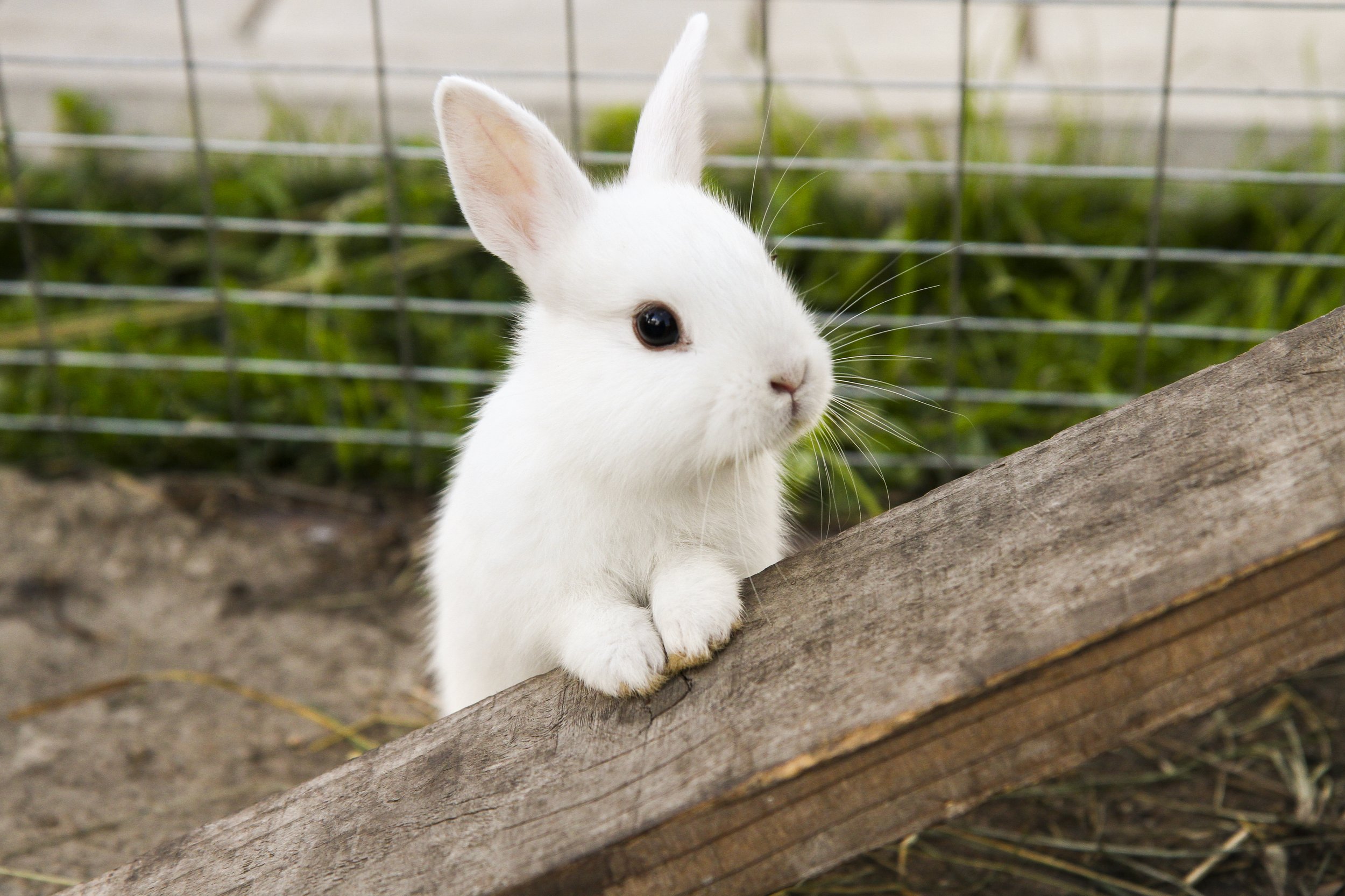 shutterstock_722171287.jpg