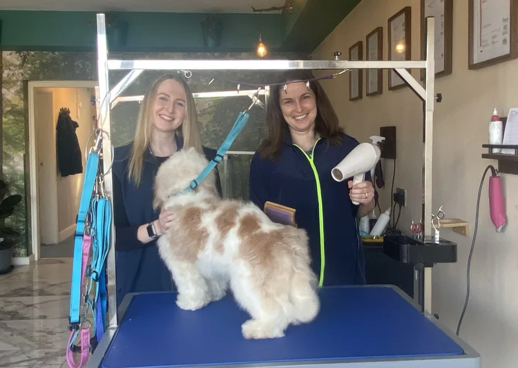 Career Hounds registers first learner for VetSkill VTEC Level 2 ...