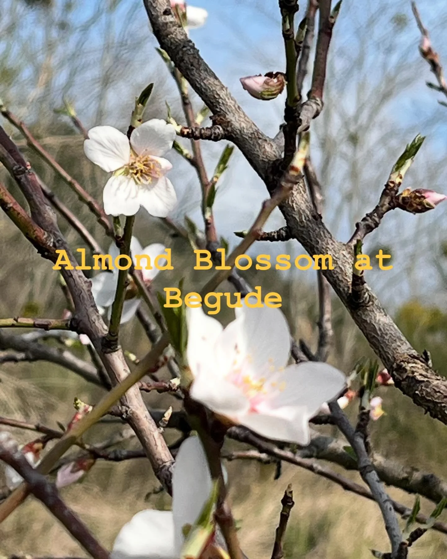 Sign that spring is round the corner
