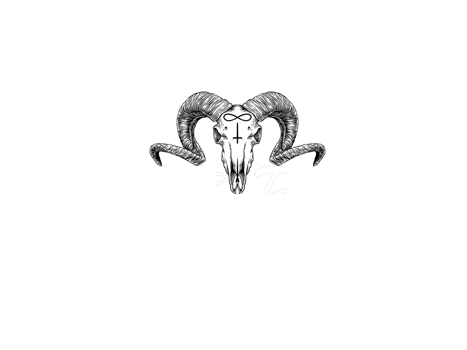 Sinister Diesel Tuning